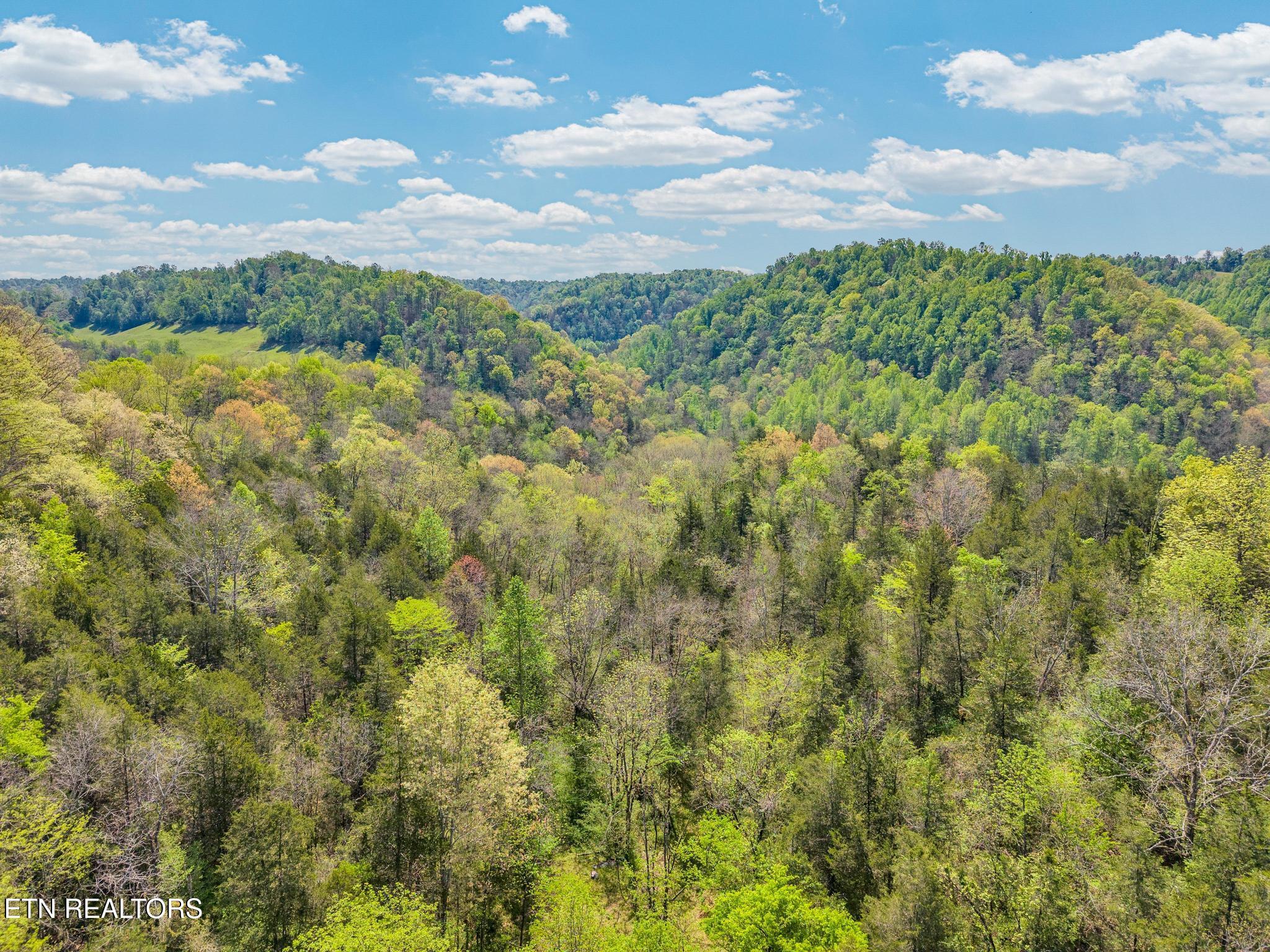 1848 Bruce Ridge Road Baxter TN 38544