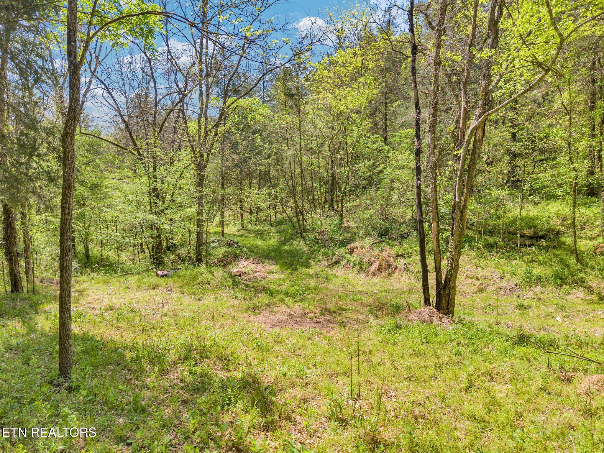 1848 Bruce Ridge Road Baxter TN 38544