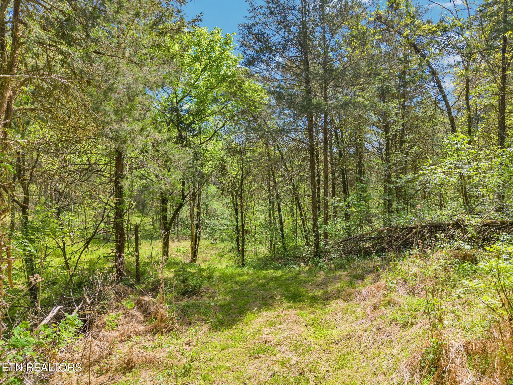 1848 Bruce Ridge Road Baxter TN 38544