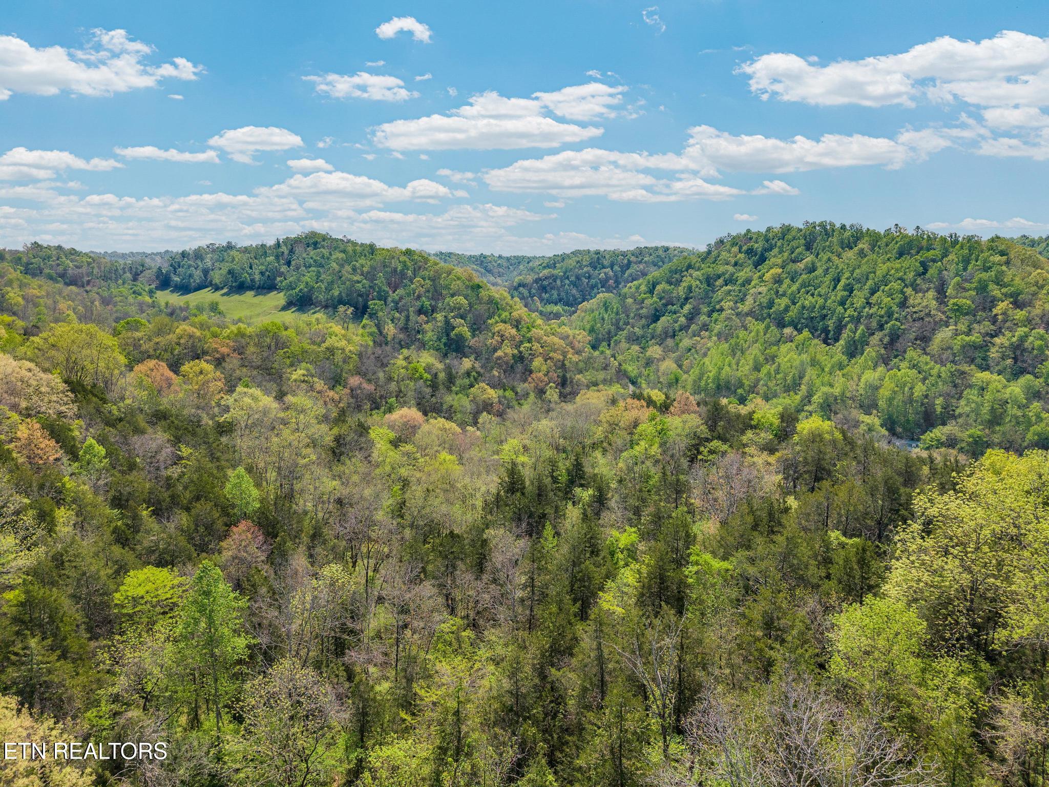 1848 Bruce Ridge Road Baxter TN 38544