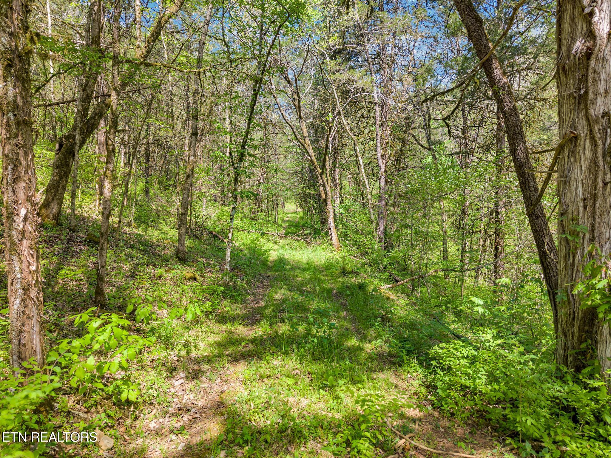 1848 Bruce Ridge Road Baxter TN 38544