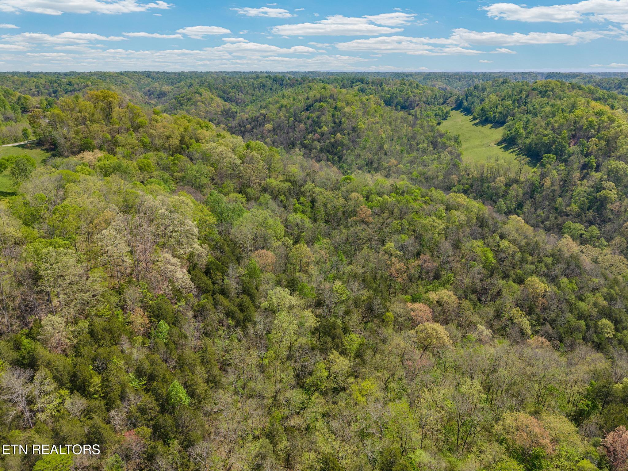 1848 Bruce Ridge Road Baxter TN 38544