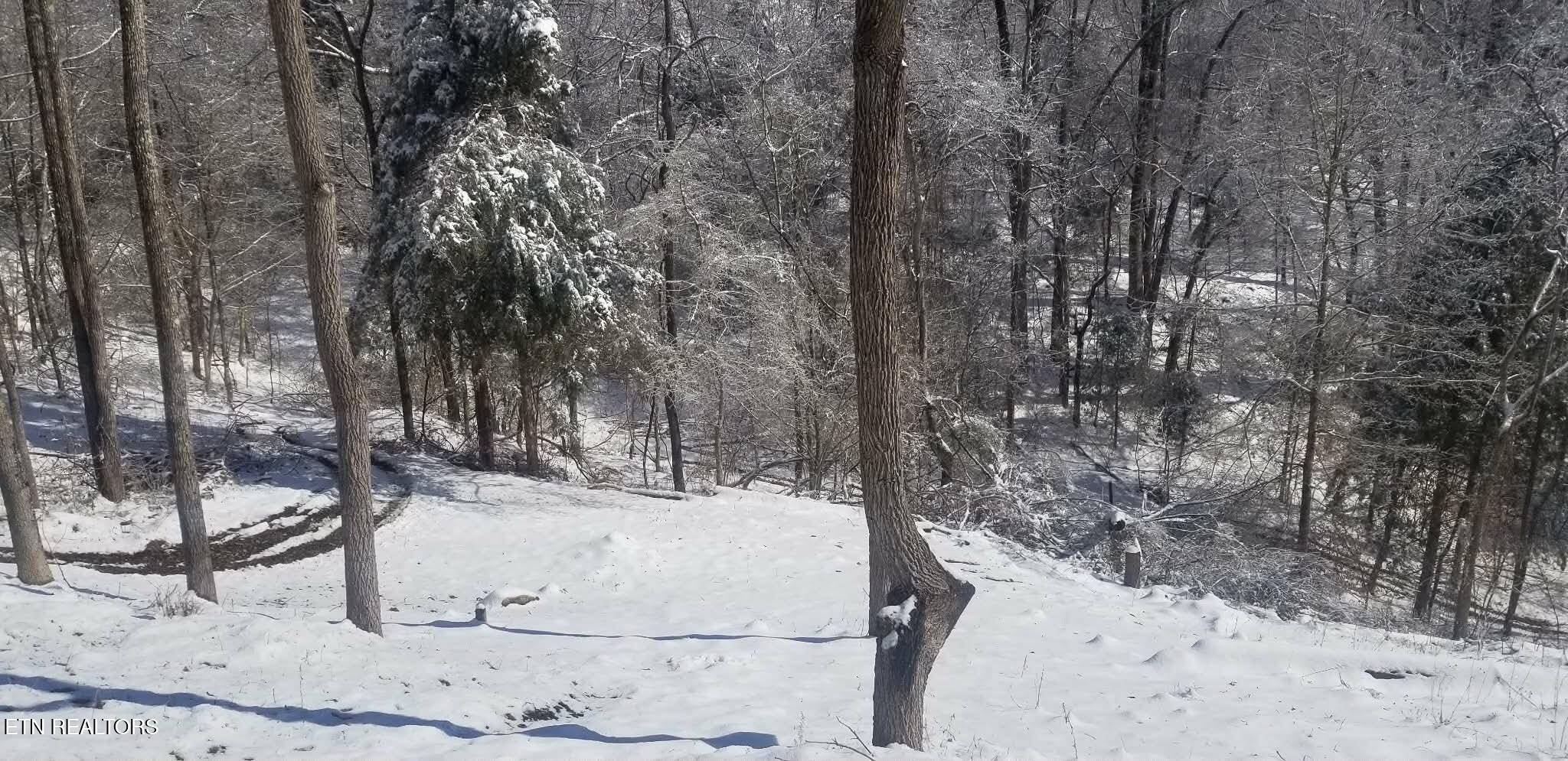1848 Bruce Ridge Road Baxter TN 38544