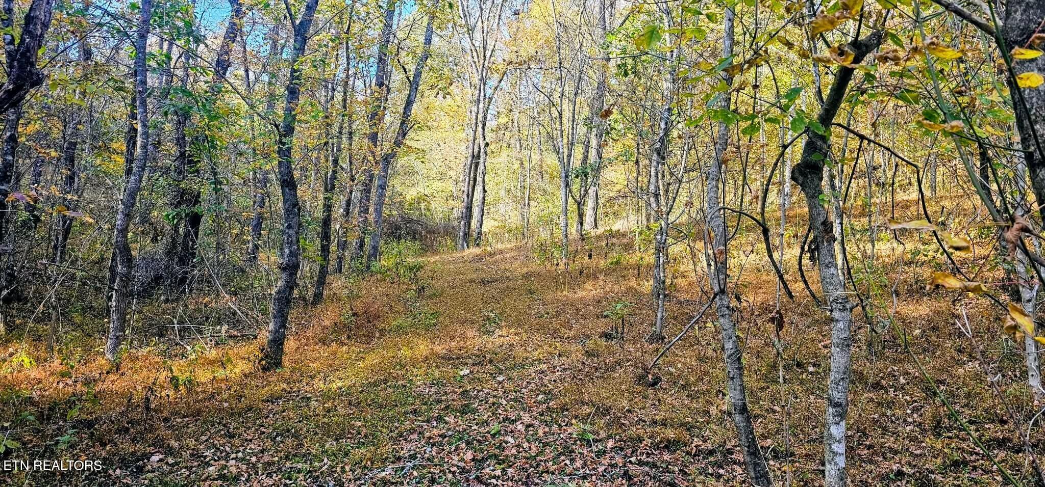 1848 Bruce Ridge Road Baxter TN 38544