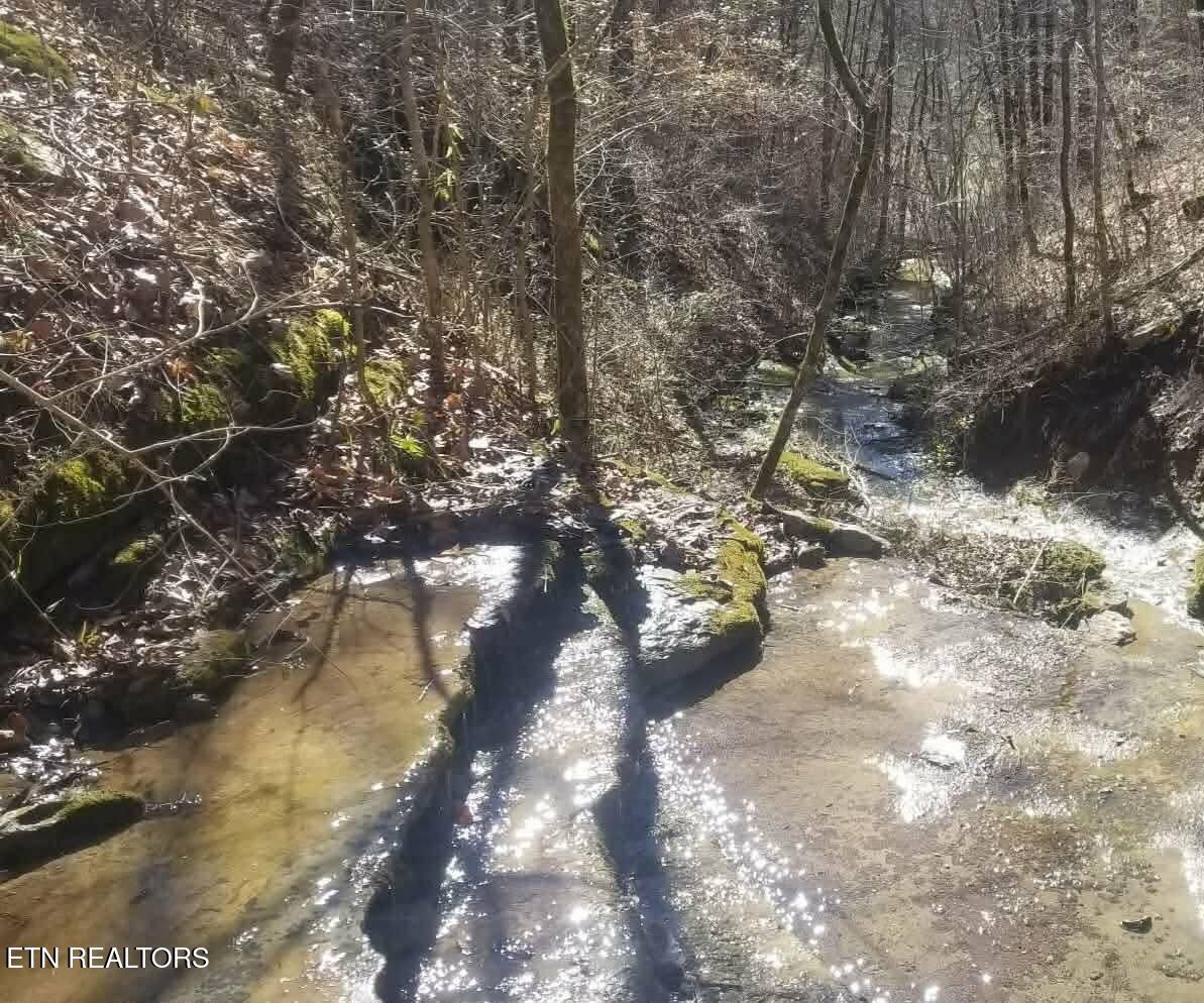 1848 Bruce Ridge Road Baxter TN 38544