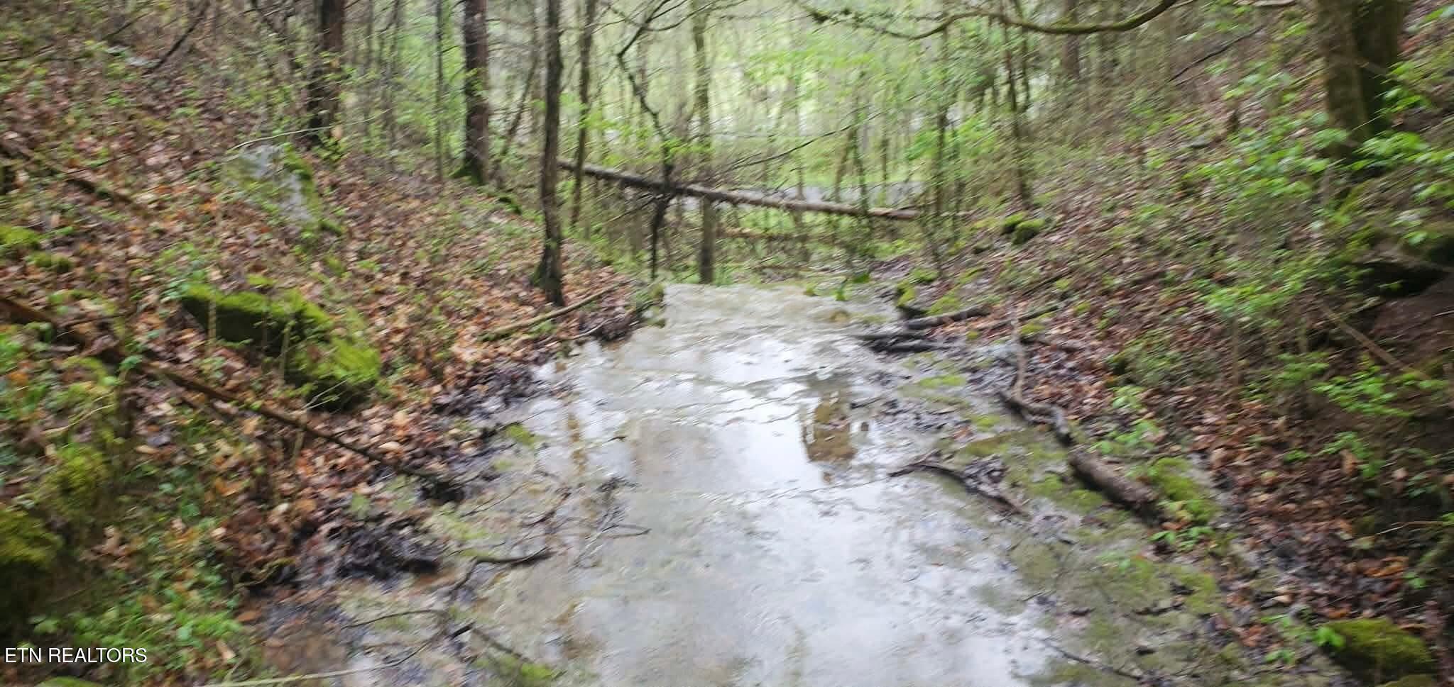 1848 Bruce Ridge Road Baxter TN 38544
