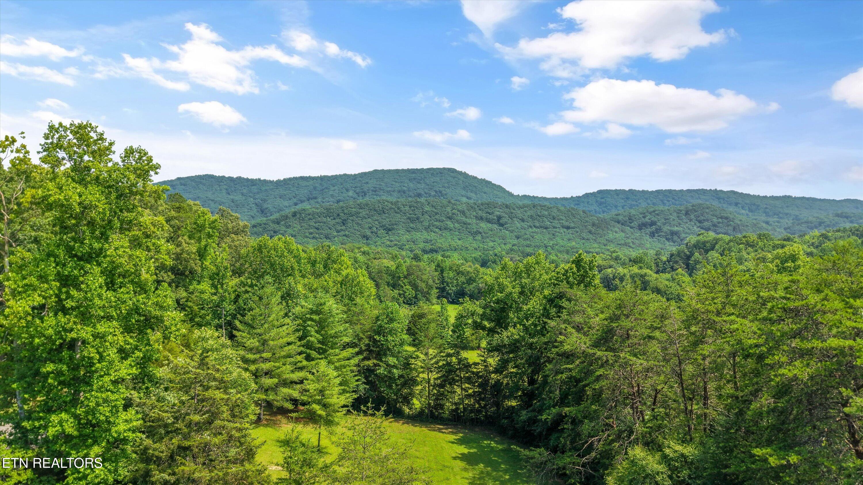 3924 Rocky Branch Road Walland TN 37886