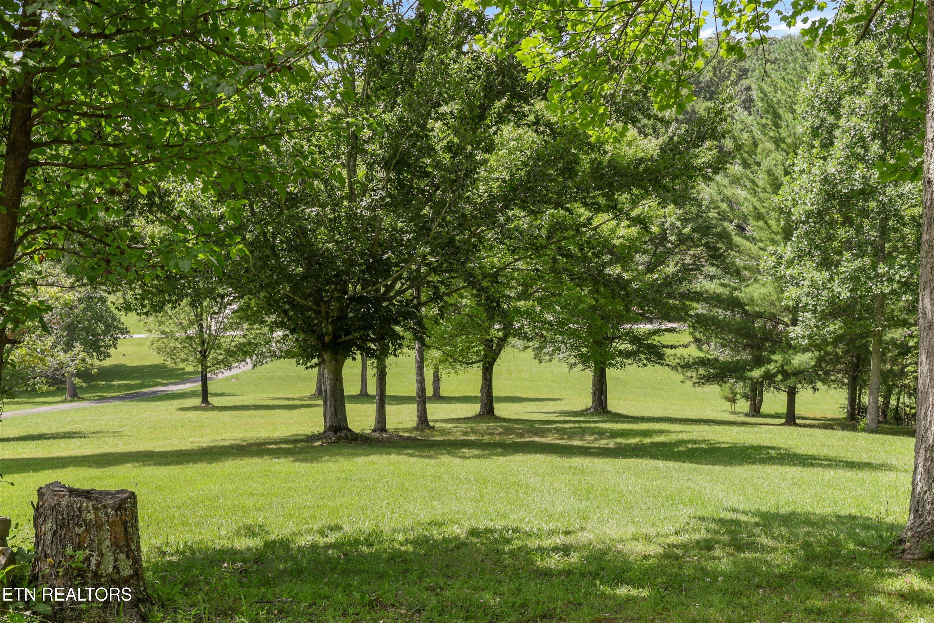 3924 Rocky Branch Road Walland TN 37886