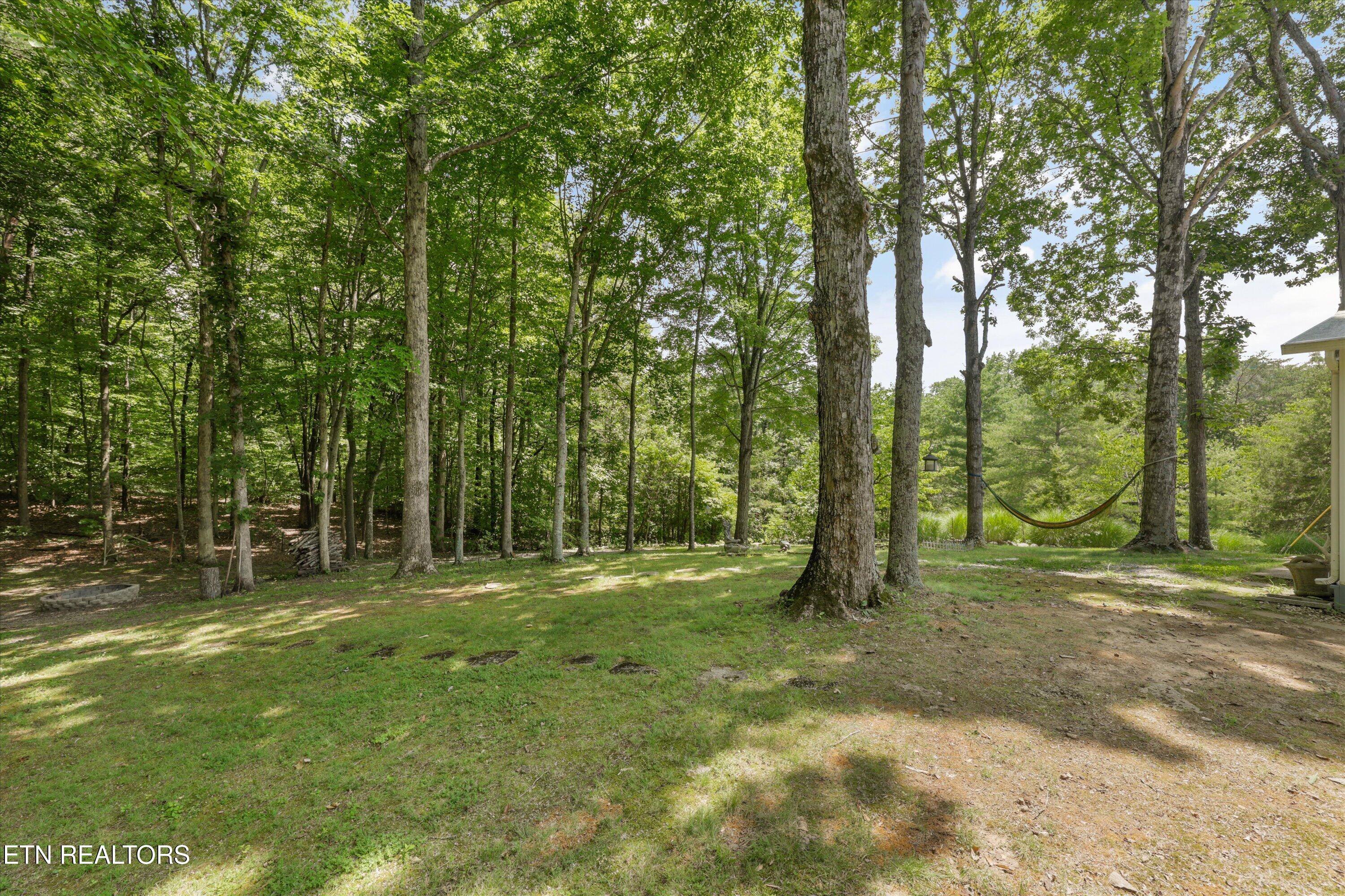 3924 Rocky Branch Road Walland TN 37886