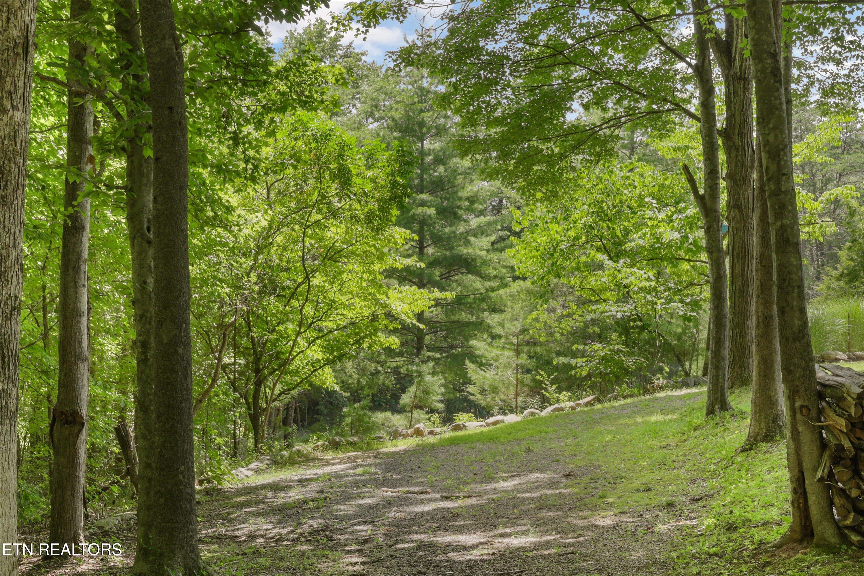 3924 Rocky Branch Road Walland TN 37886