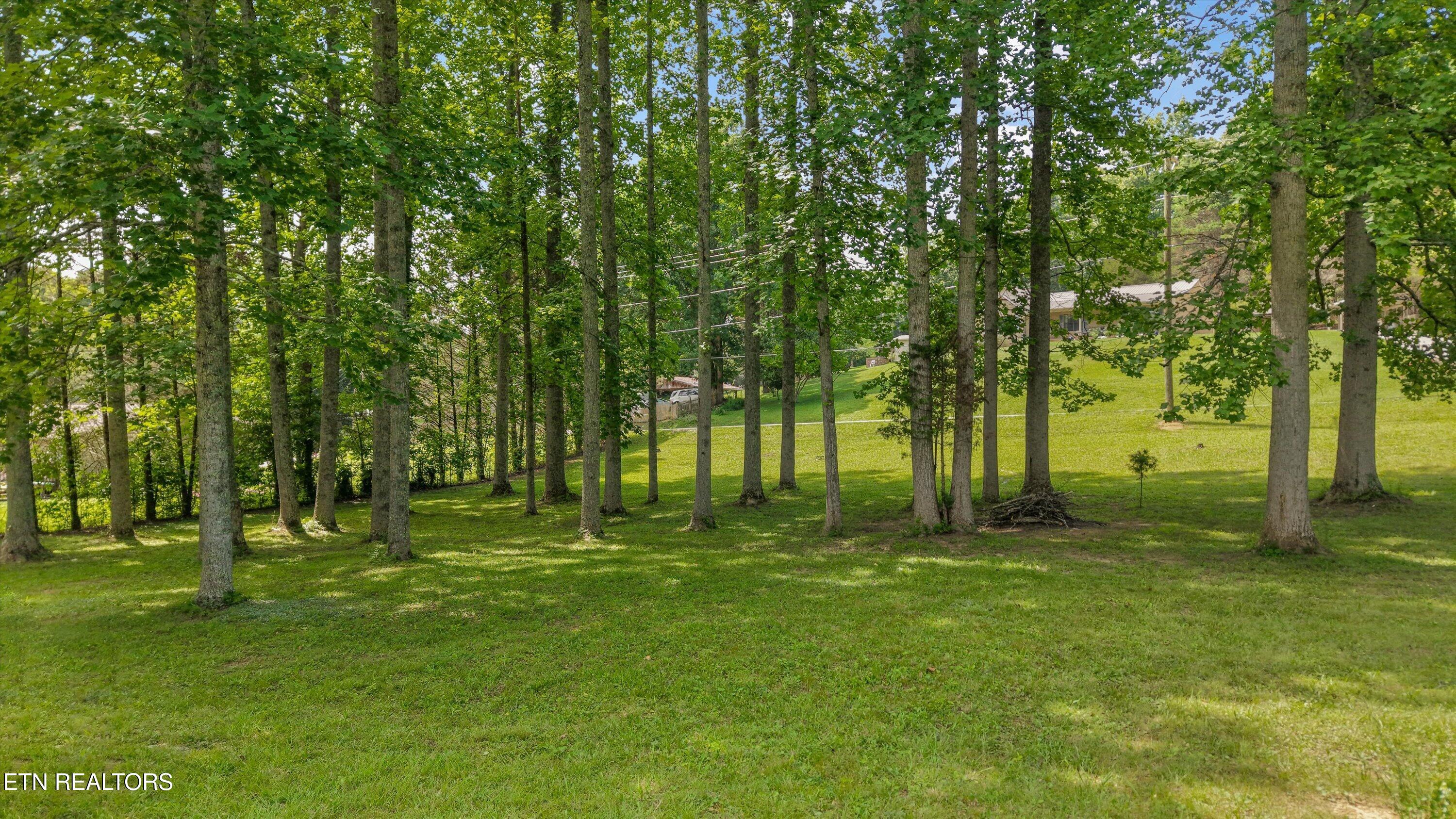 3924 Rocky Branch Road Walland TN 37886