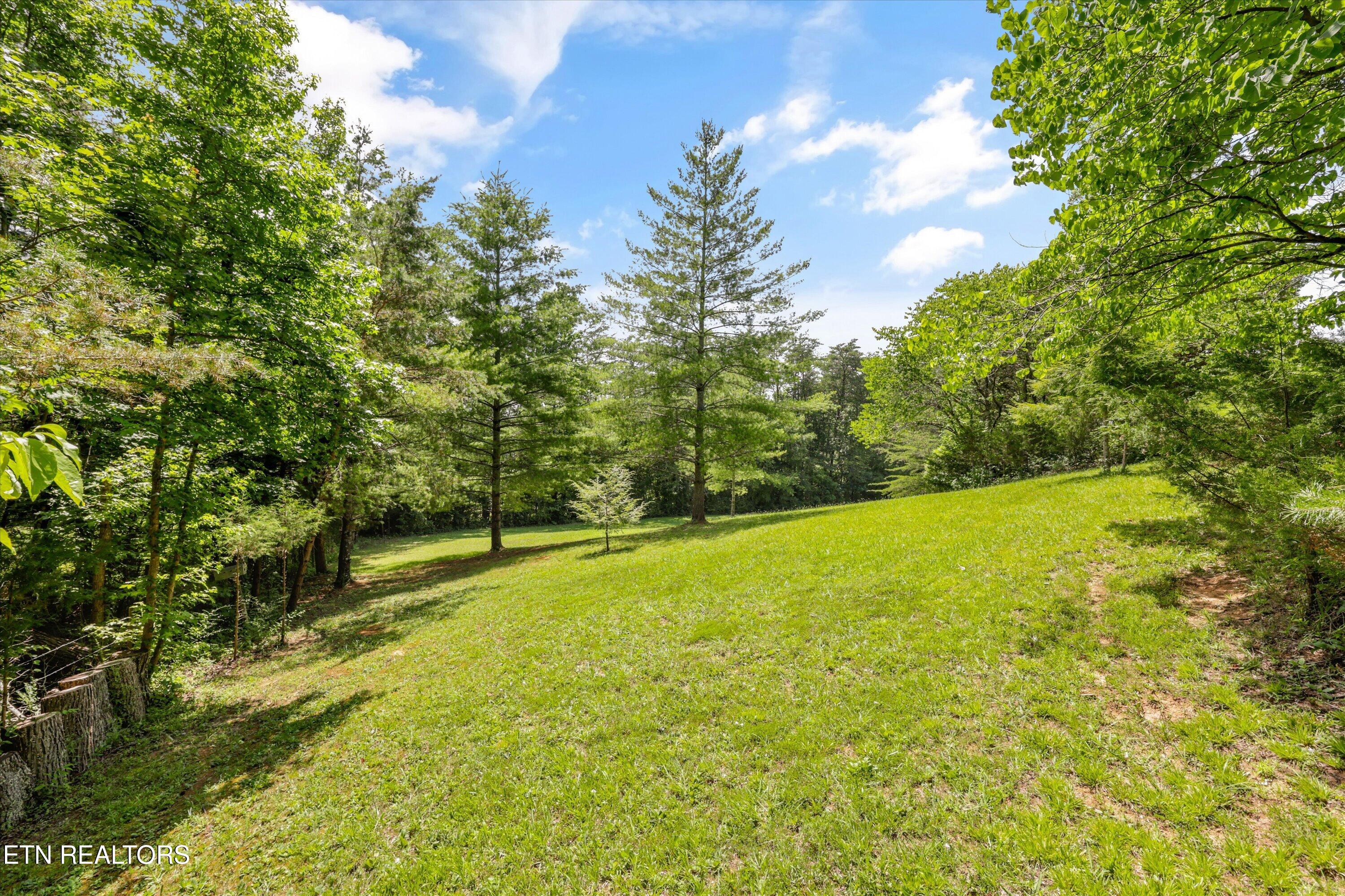 3924 Rocky Branch Road Walland TN 37886