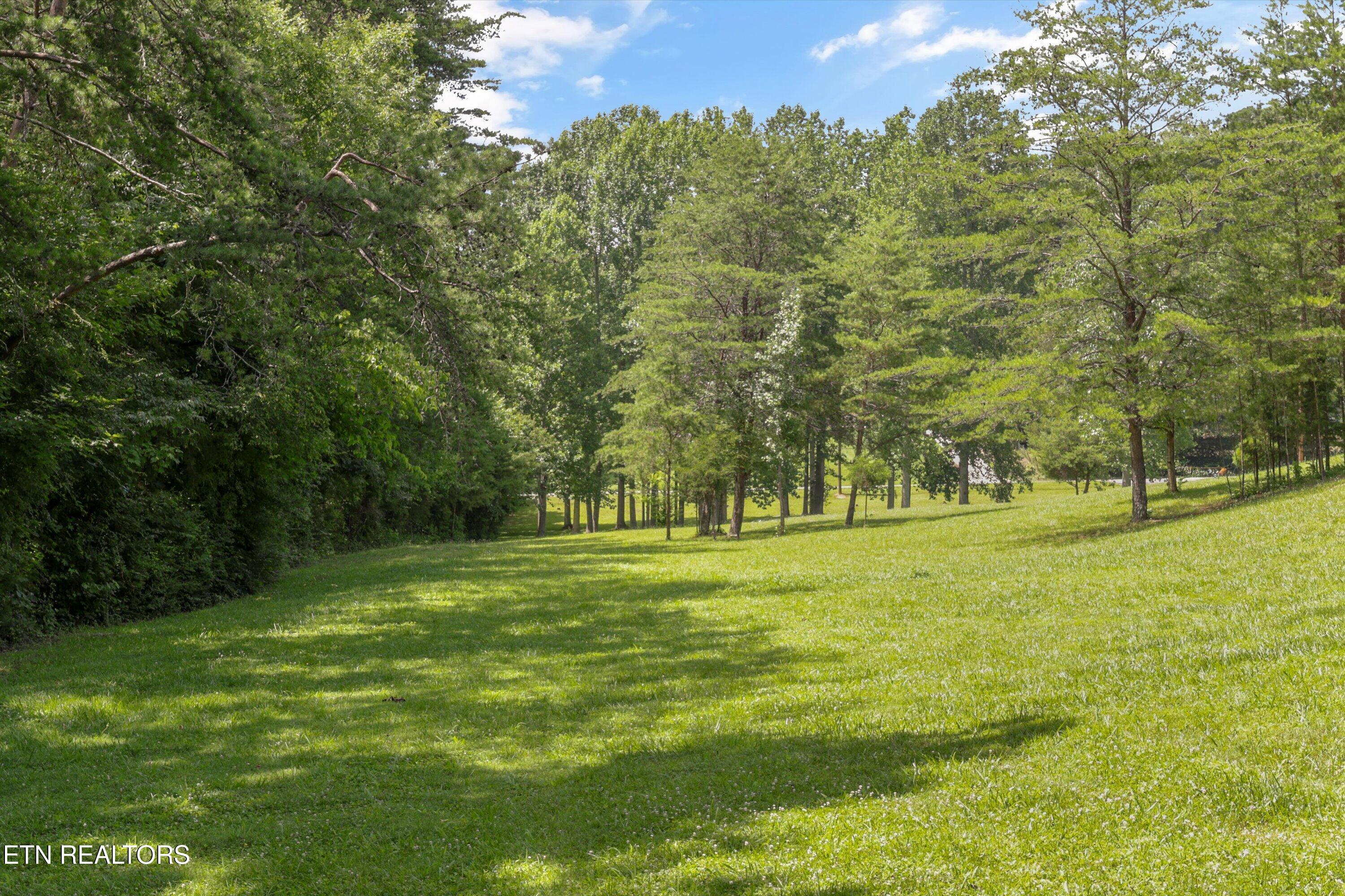 3924 Rocky Branch Road Walland TN 37886