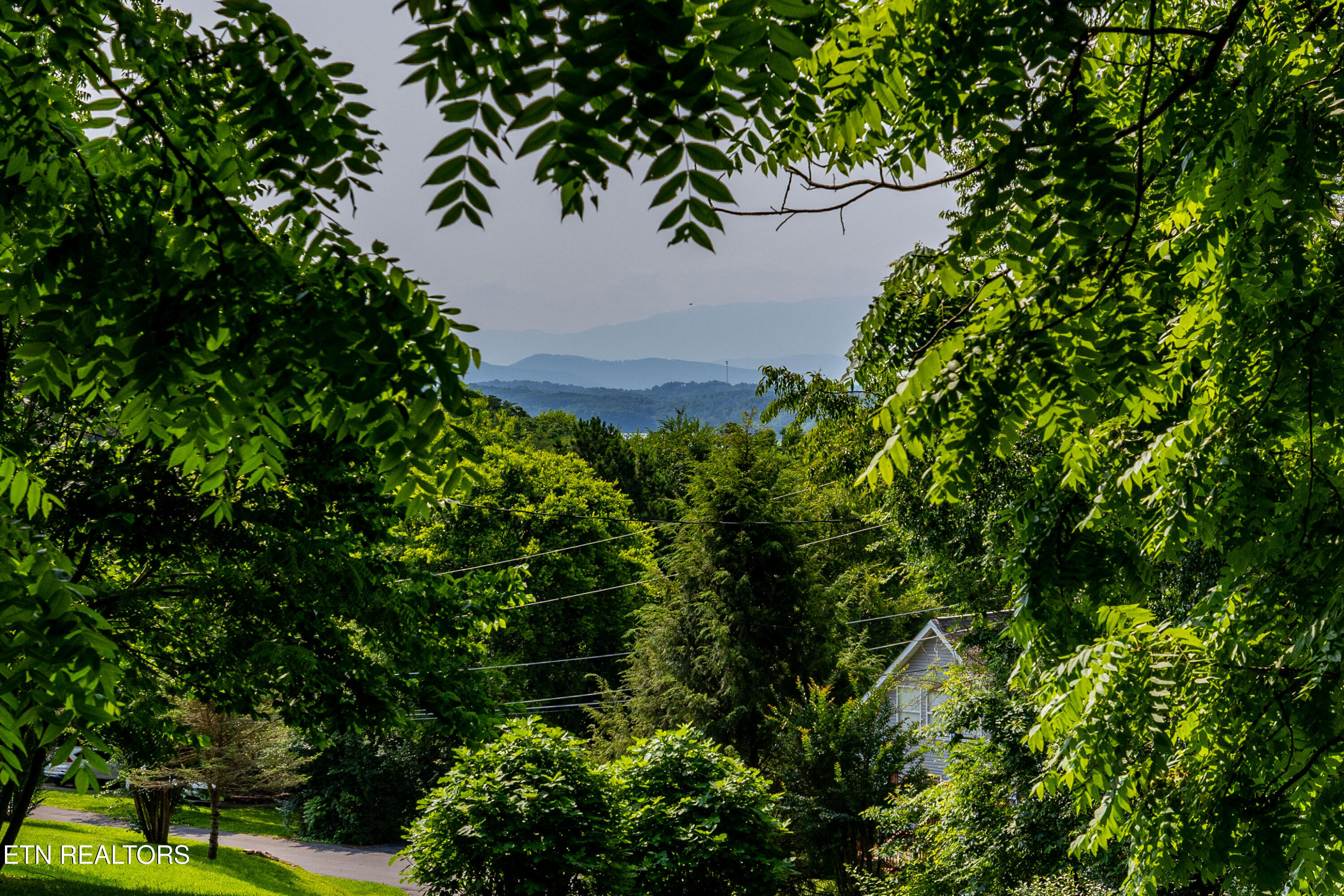 2825 P V T Way Dandridge TN 37725