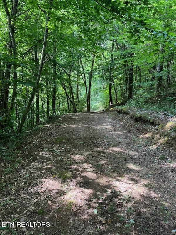 525 Braden Chapel Road Speedwell TN 37870