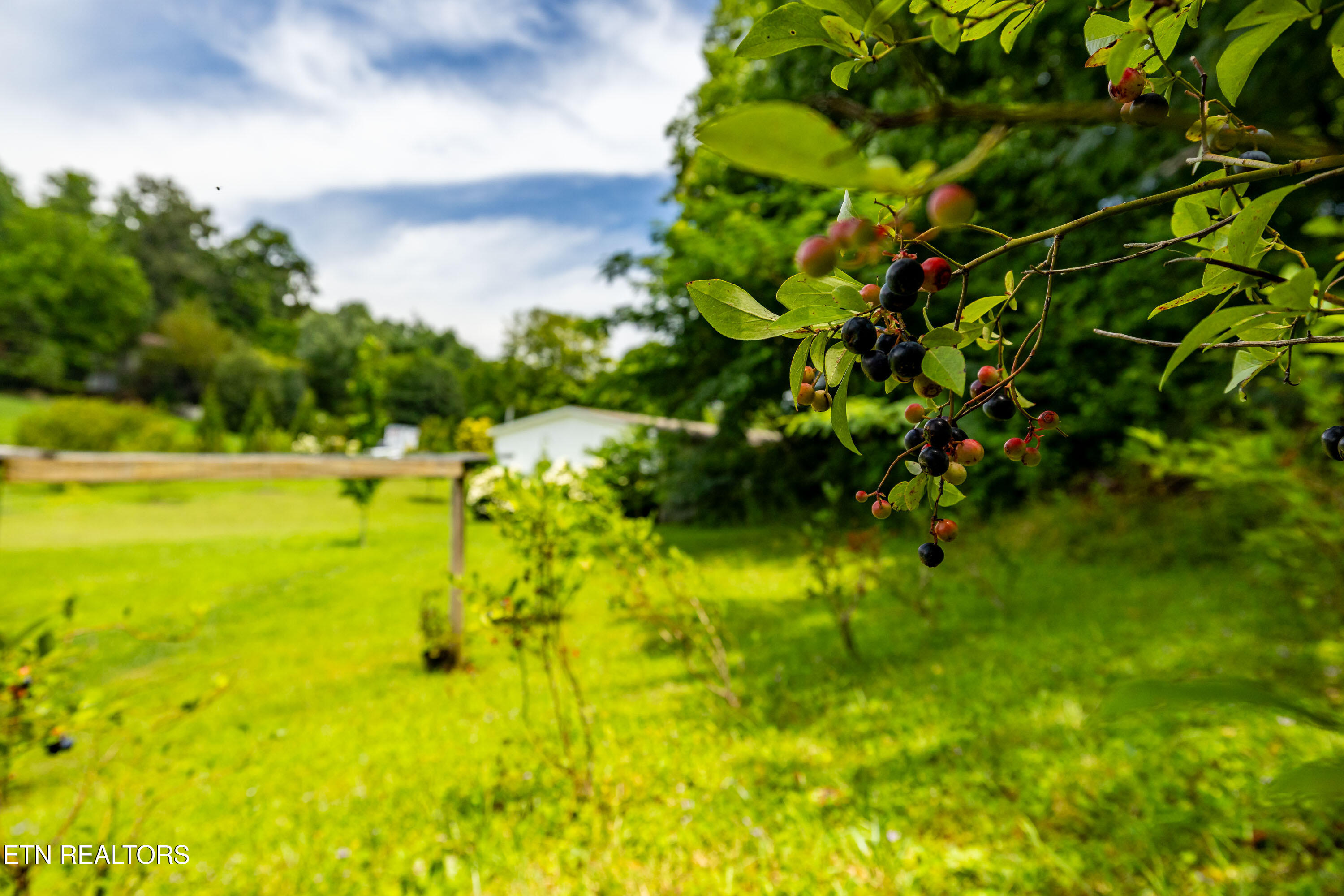 358 Webb Road Townsend TN 37882