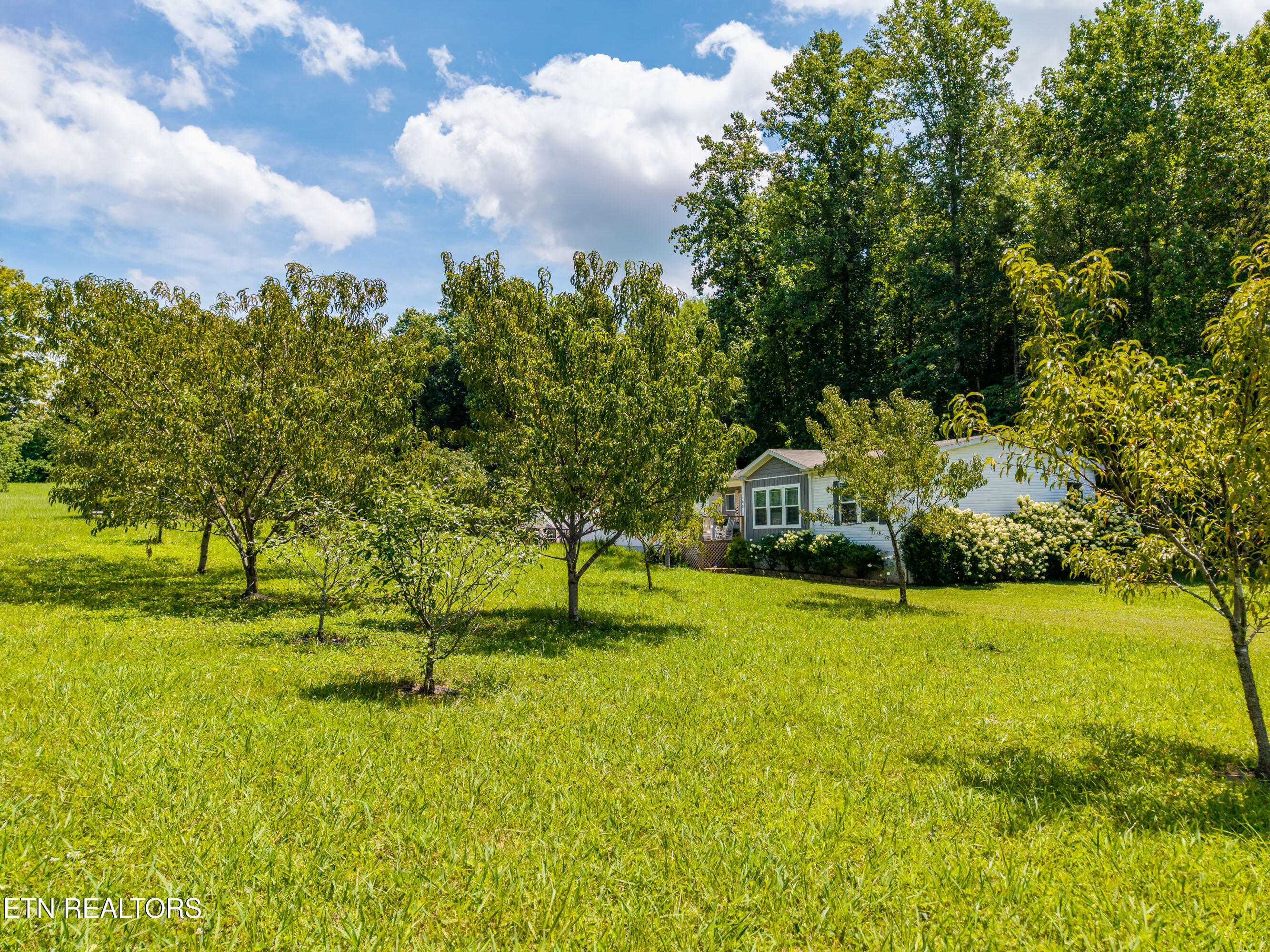 358 Webb Road Townsend TN 37882