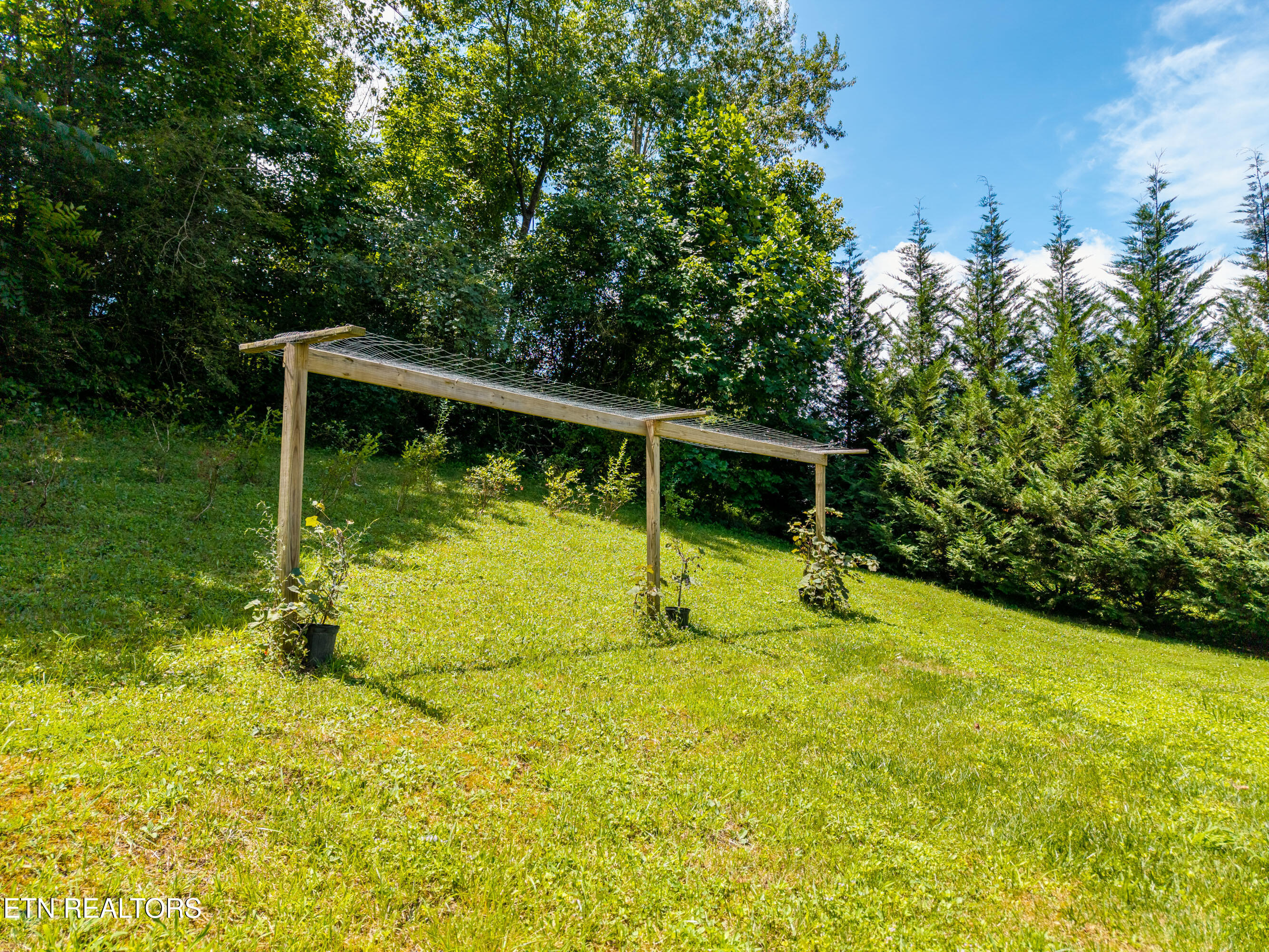 358 Webb Road Townsend TN 37882