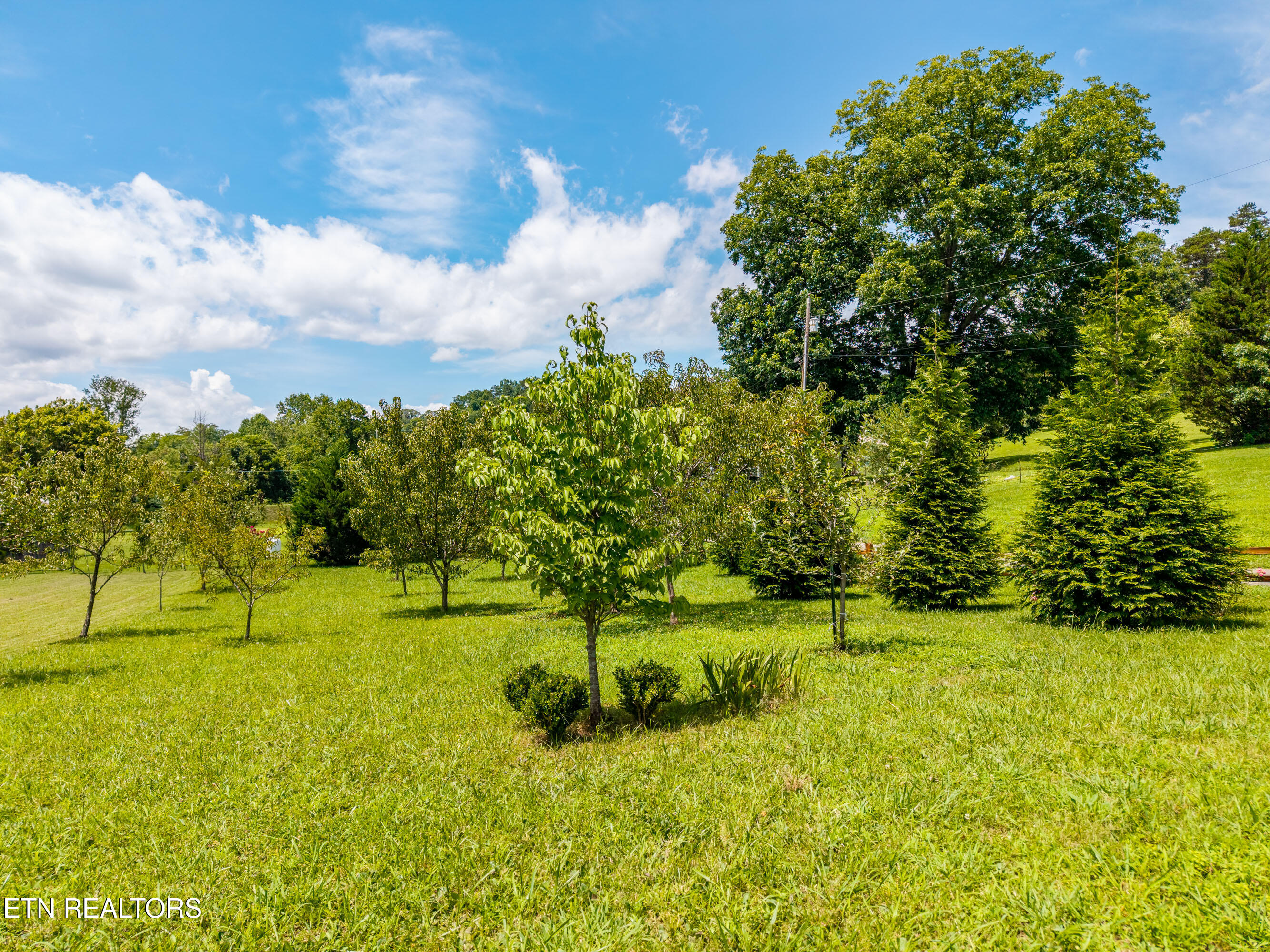358 Webb Road Townsend TN 37882