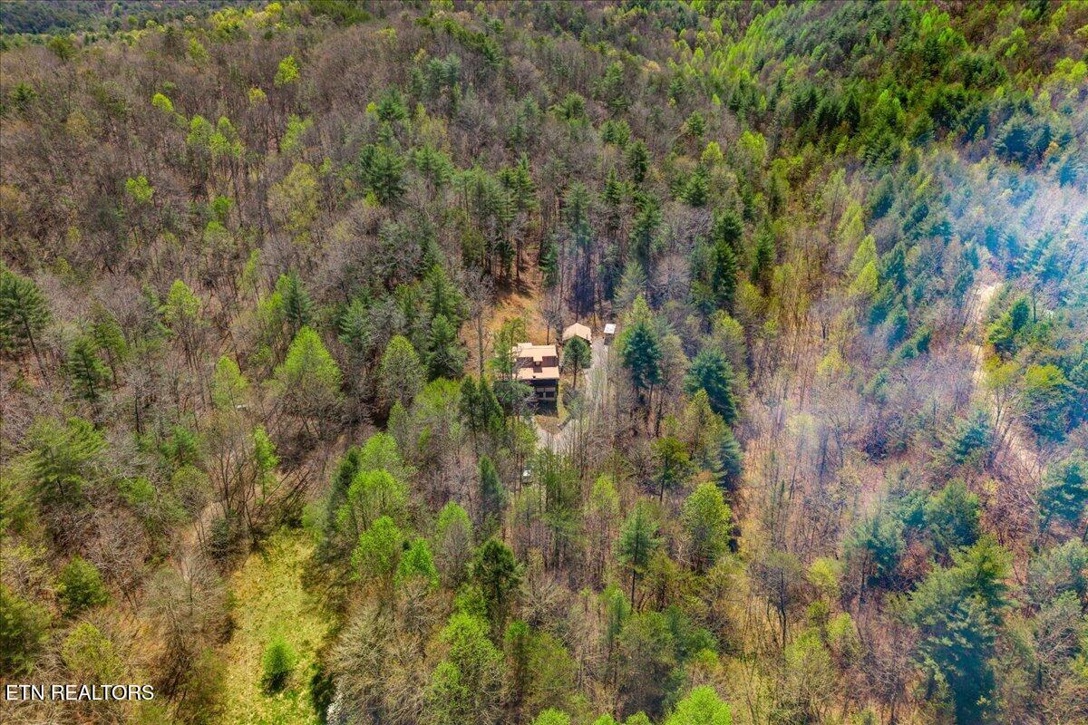 1736 Rafter Road Tellico Plains TN 37385
