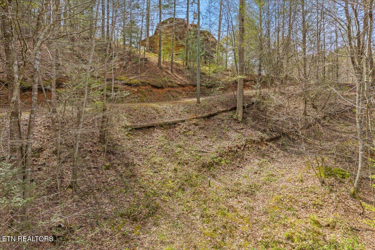 1736 Rafter Road Tellico Plains TN 37385