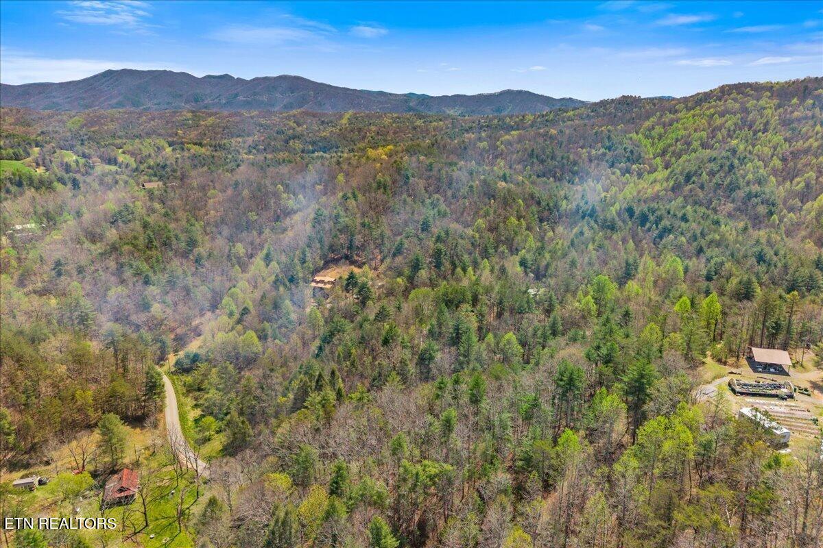 1736 Rafter Road Tellico Plains TN 37385