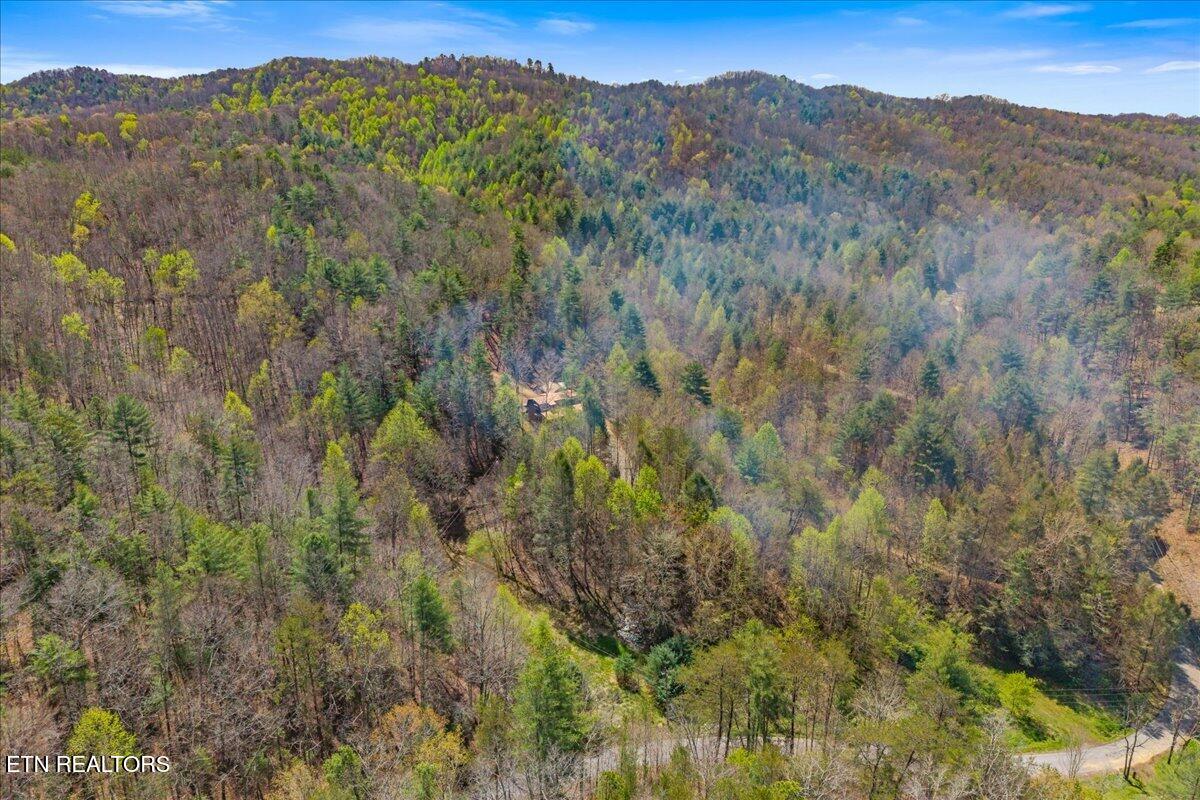 1736 Rafter Road Tellico Plains TN 37385