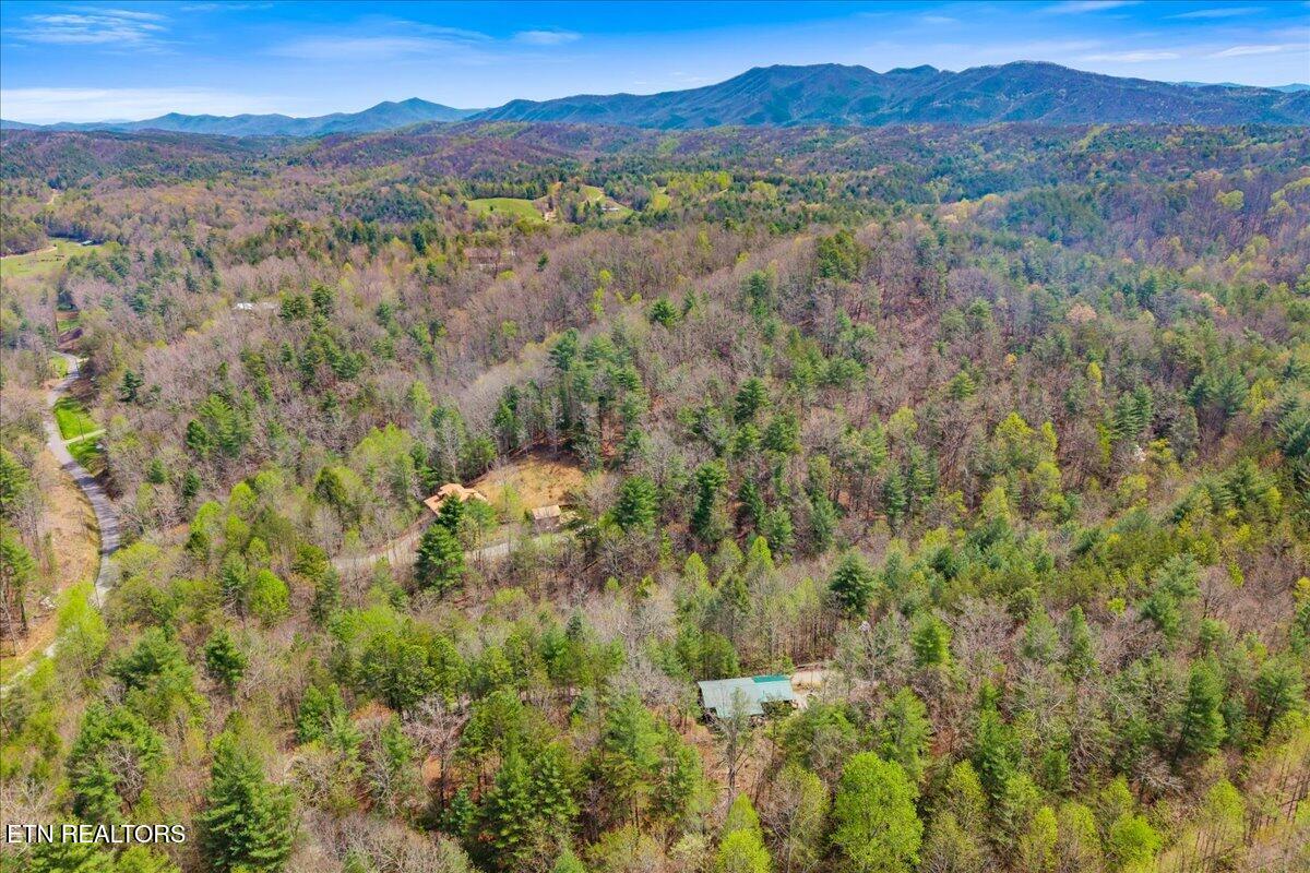 1736 Rafter Road Tellico Plains TN 37385