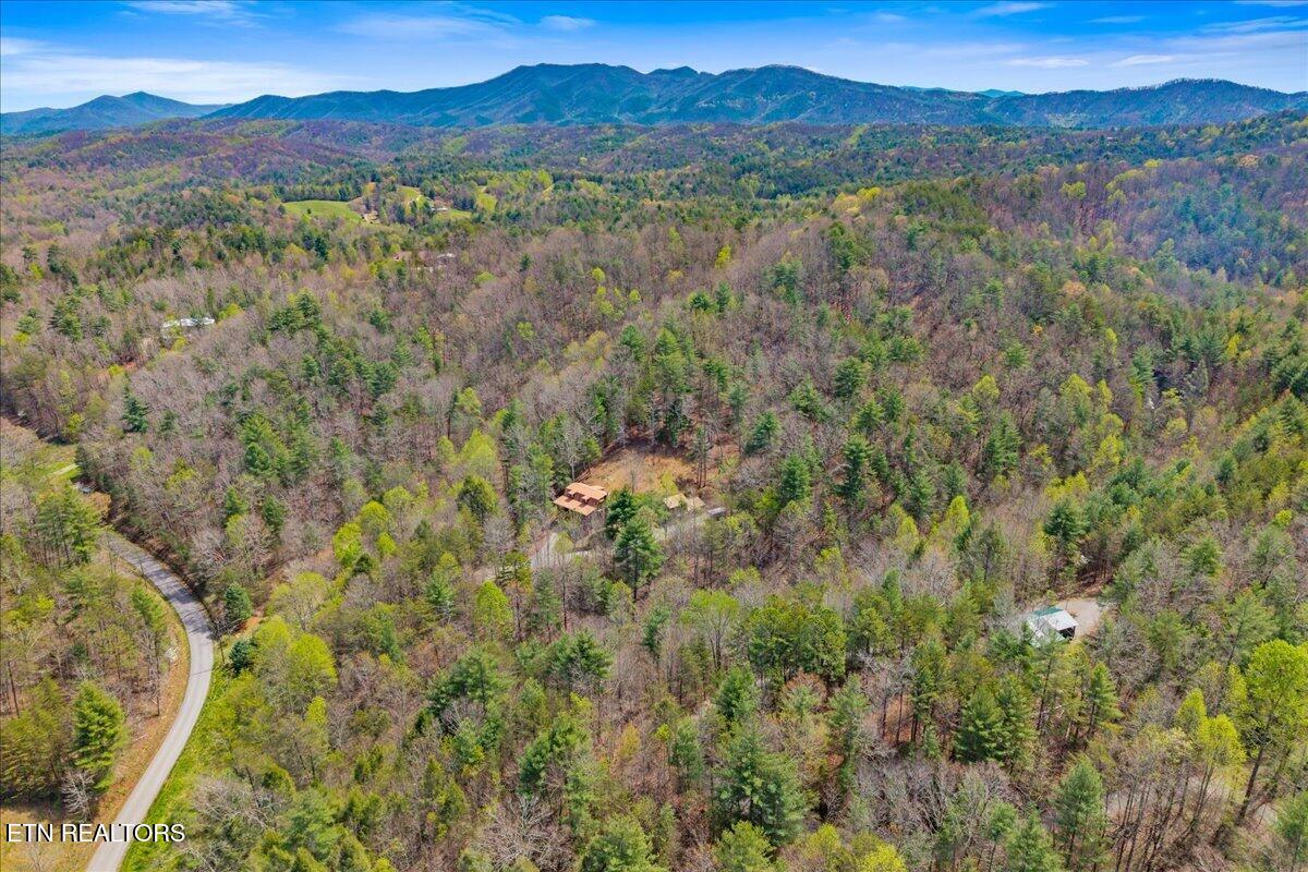 1736 Rafter Road Tellico Plains TN 37385