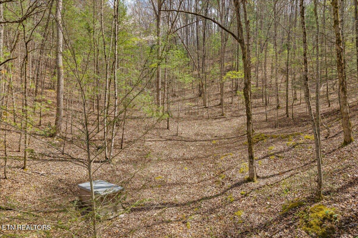 1736 Rafter Road Tellico Plains TN 37385
