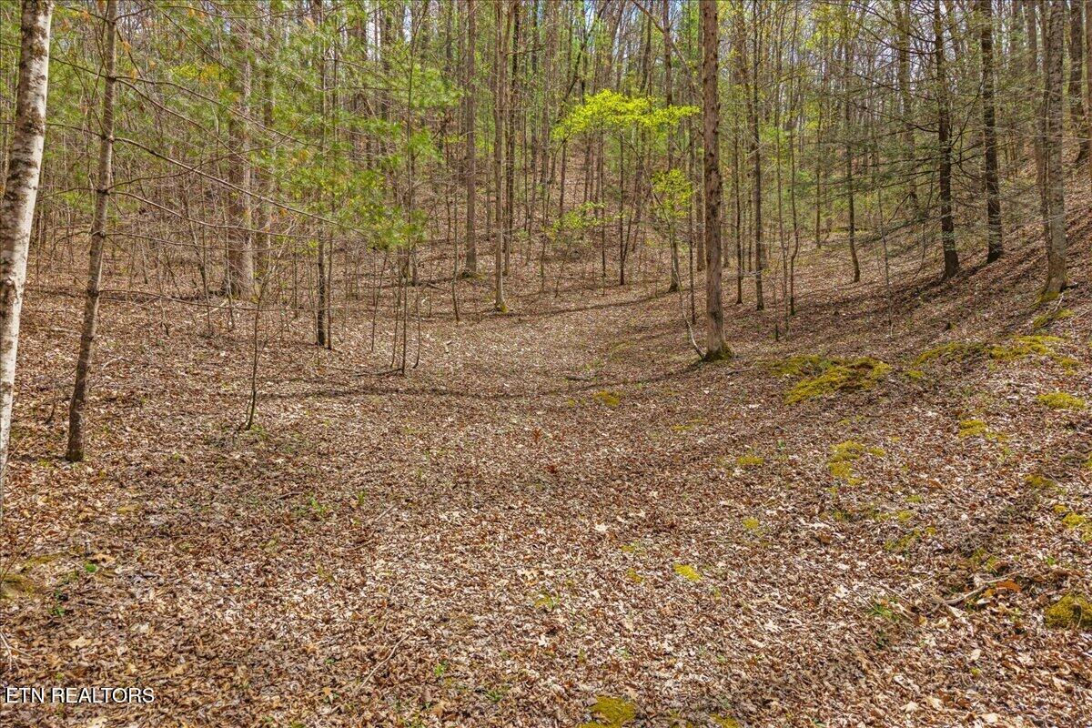 1736 Rafter Road Tellico Plains TN 37385