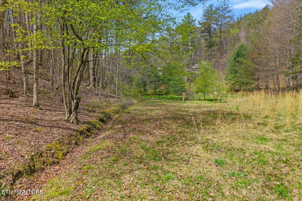 1736 Rafter Road Tellico Plains TN 37385
