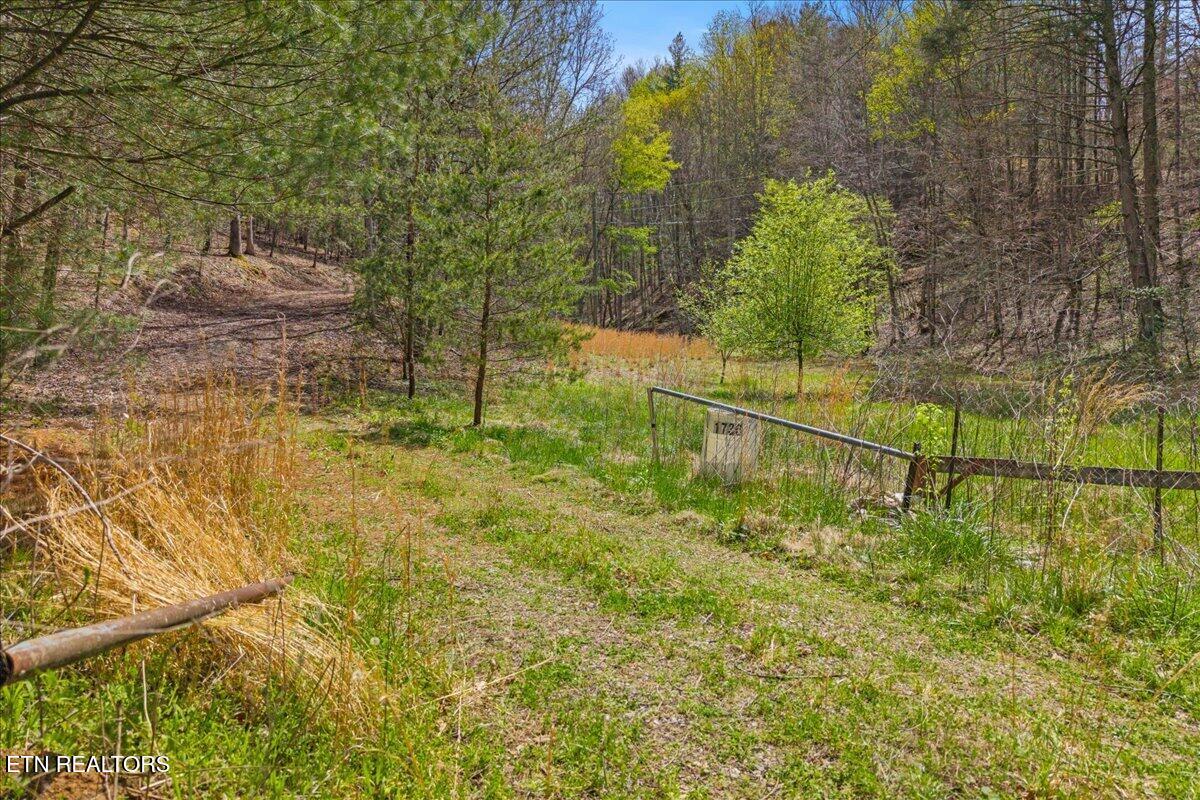 1736 Rafter Road Tellico Plains TN 37385