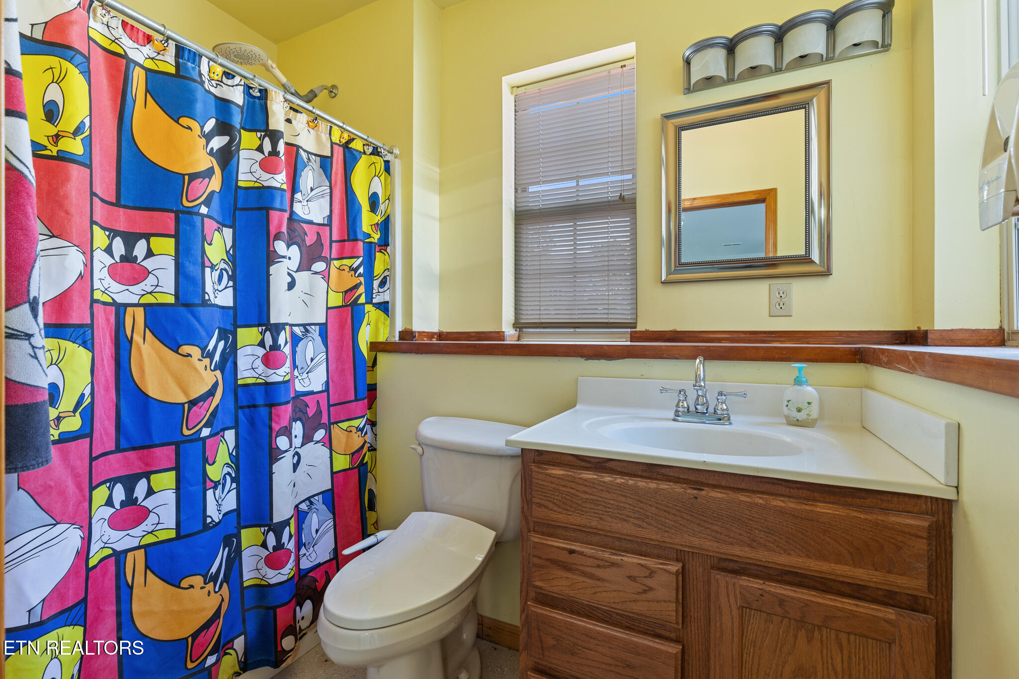 2869 Luther Catlett Circle Sevierville TN 37876