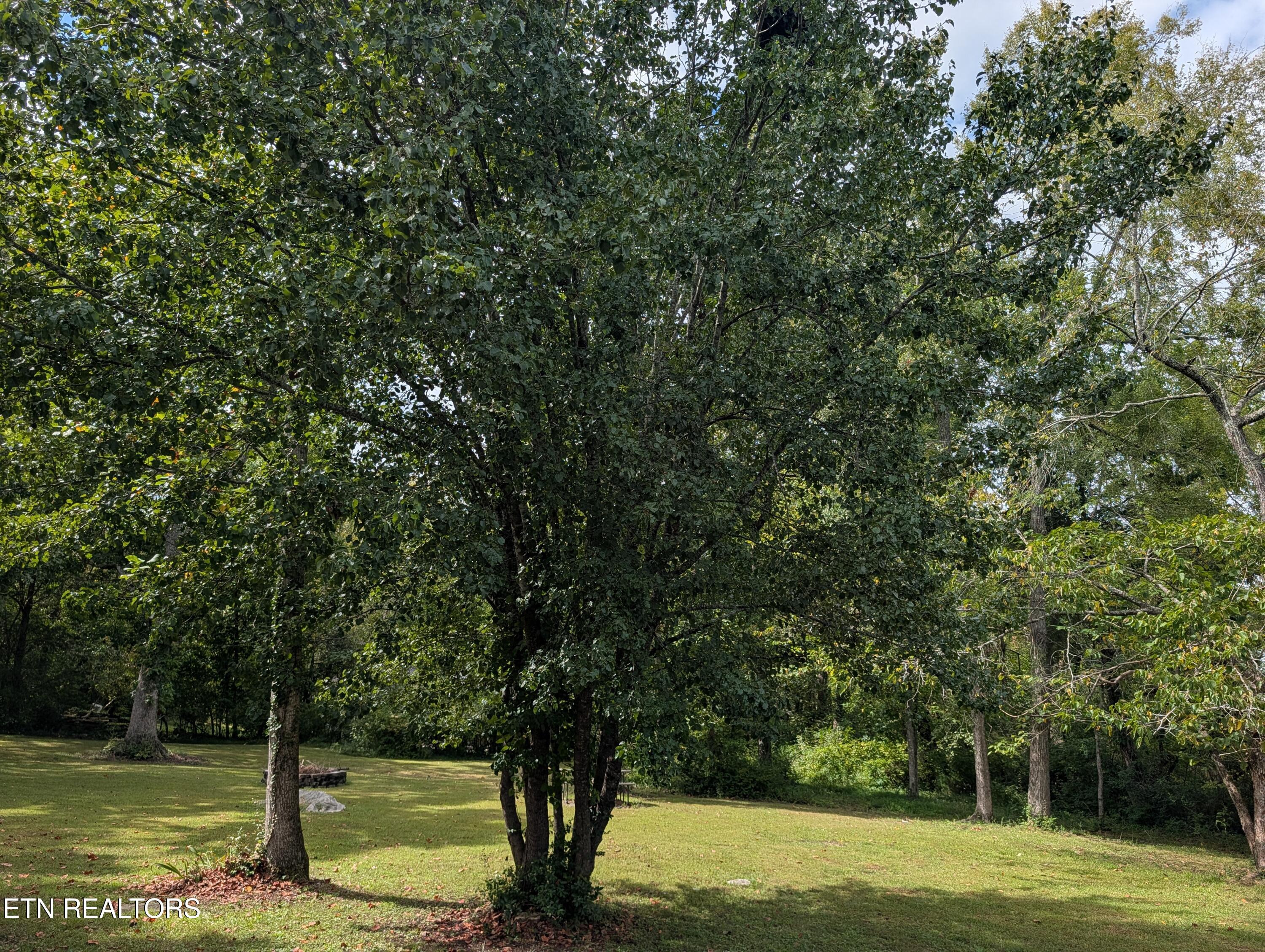 341 Vermont Avenue Oak Ridge TN 37830