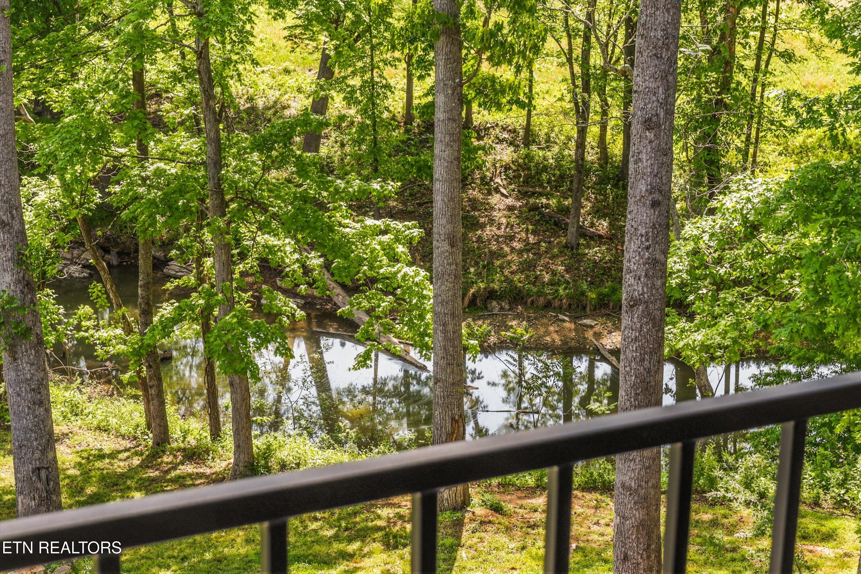 998 Sedge Lane Loudon TN 37774