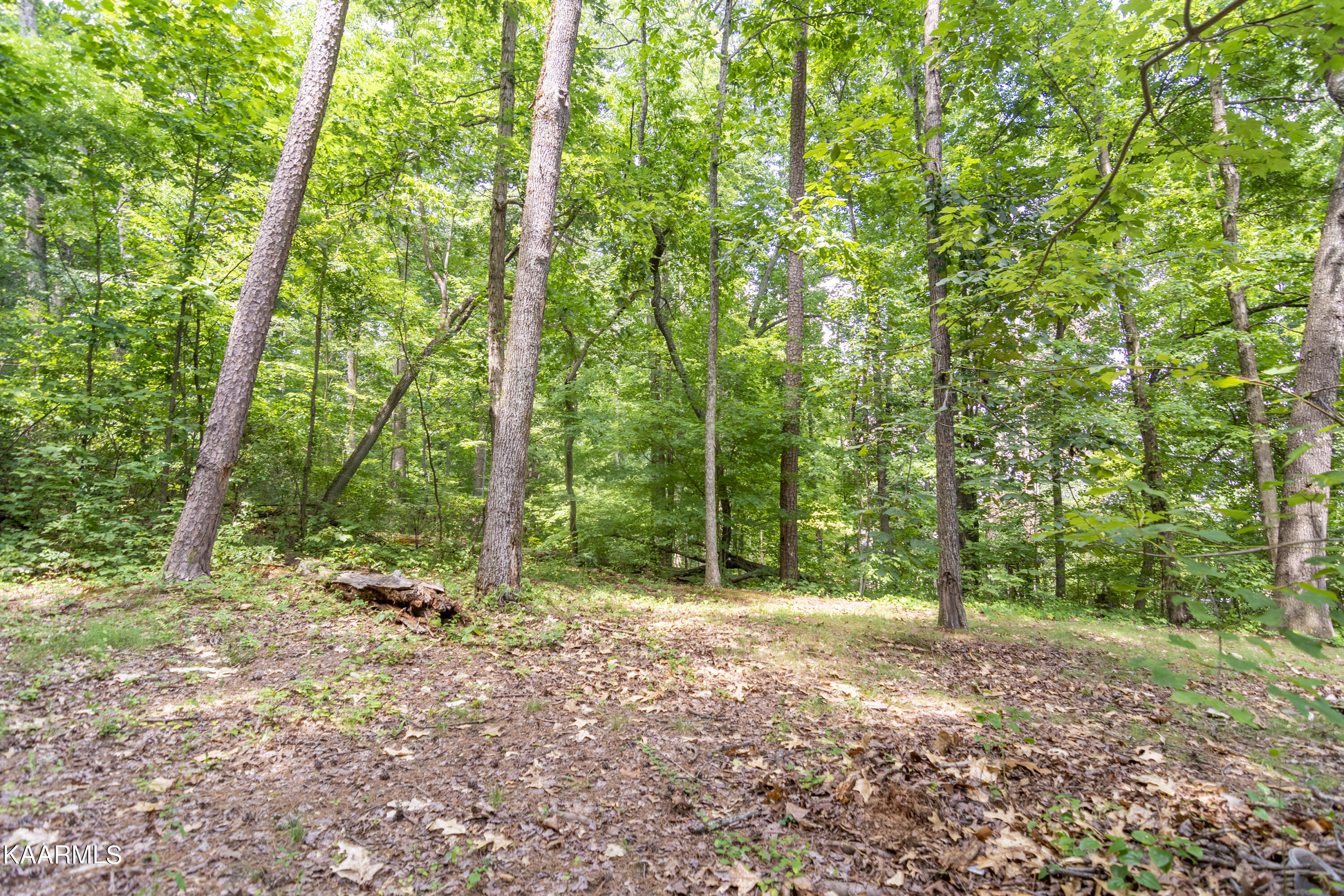 2205 Ridgecrest Drive Knoxville TN 37918