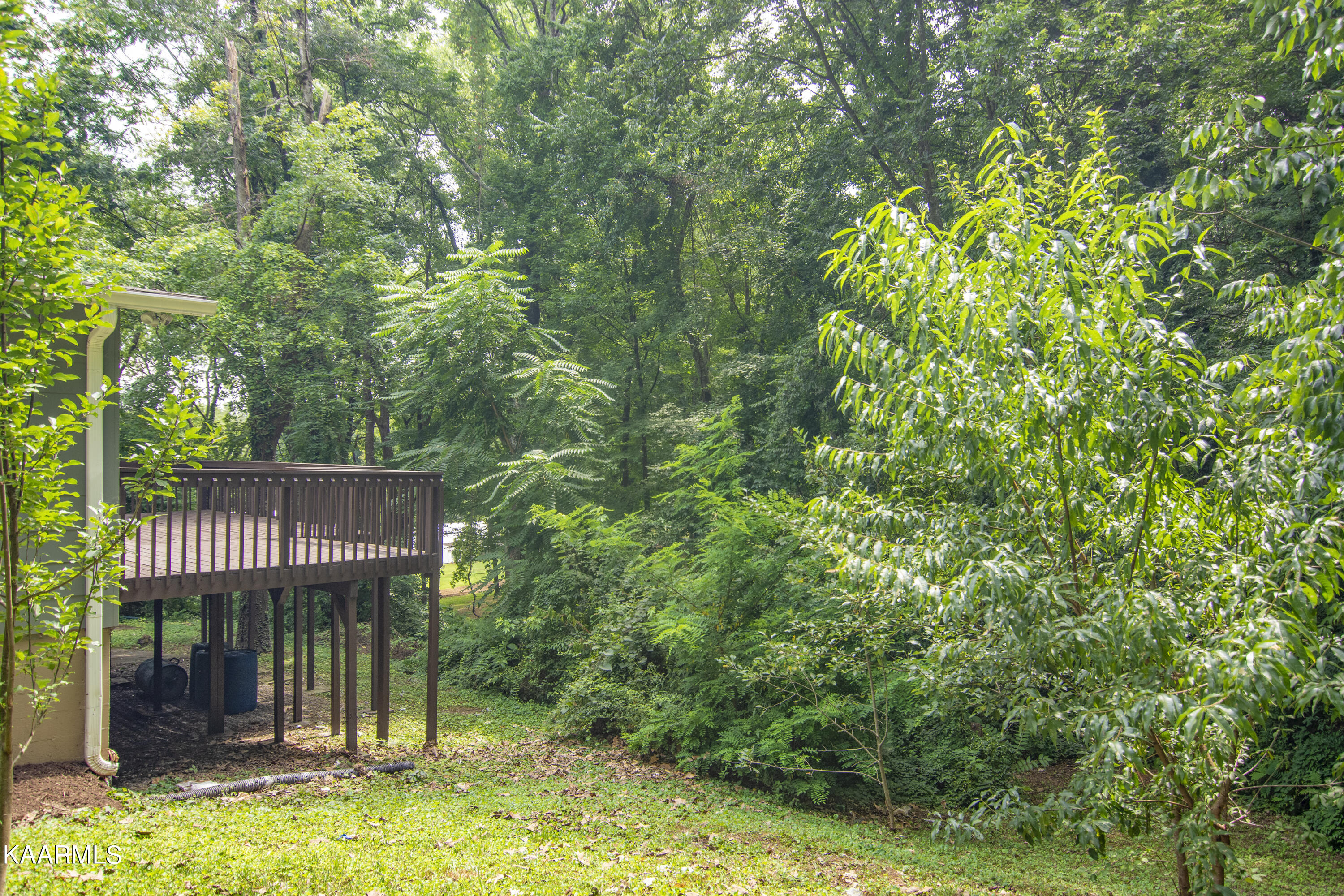 2205 Ridgecrest Drive Knoxville TN 37918