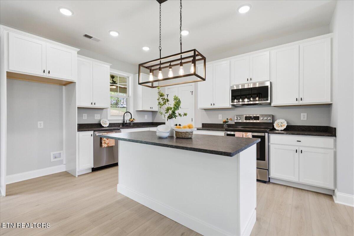 826 Sophie Drive Greenback TN 37742