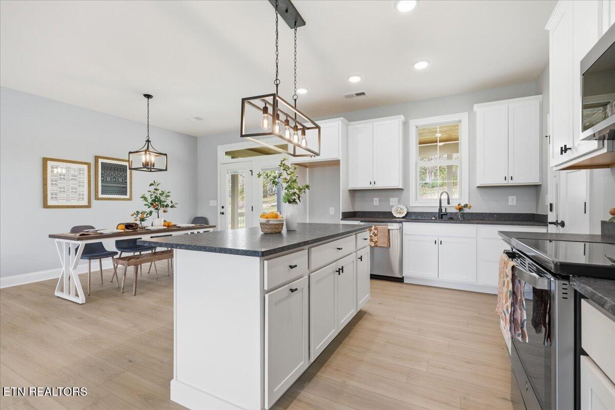 826 Sophie Drive Greenback TN 37742