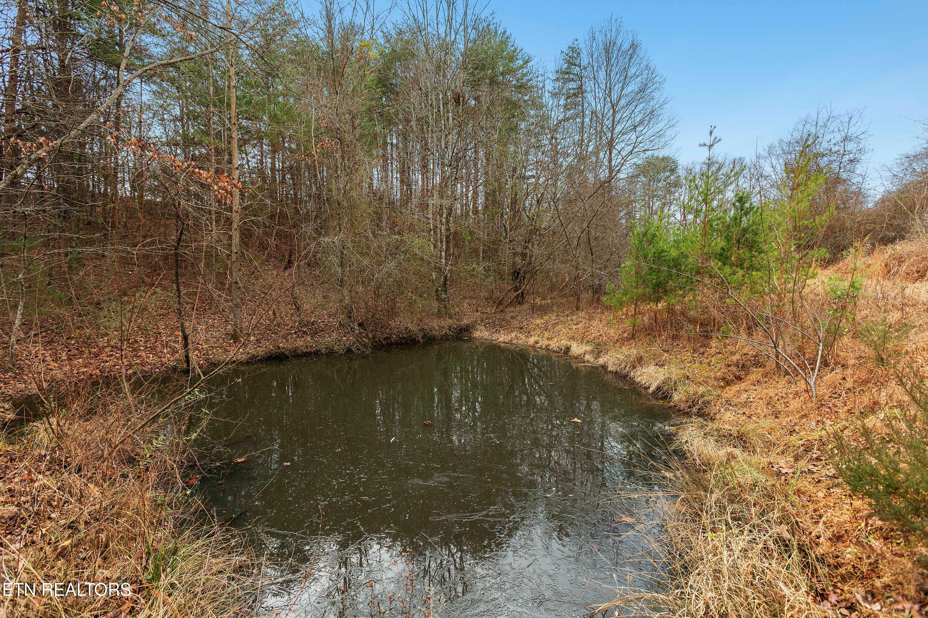 161 Steele Road Vonore TN 37885