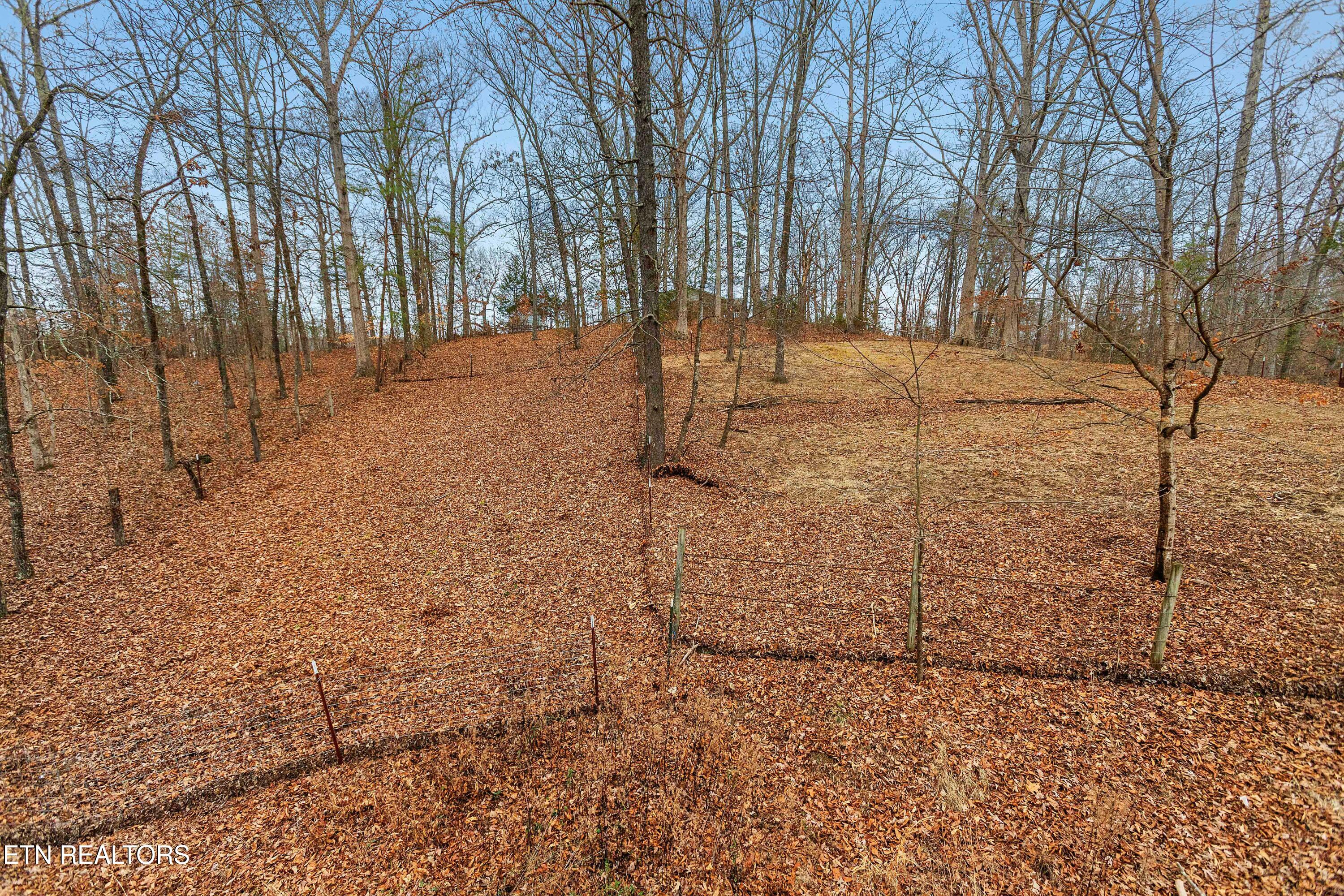 161 Steele Road Vonore TN 37885