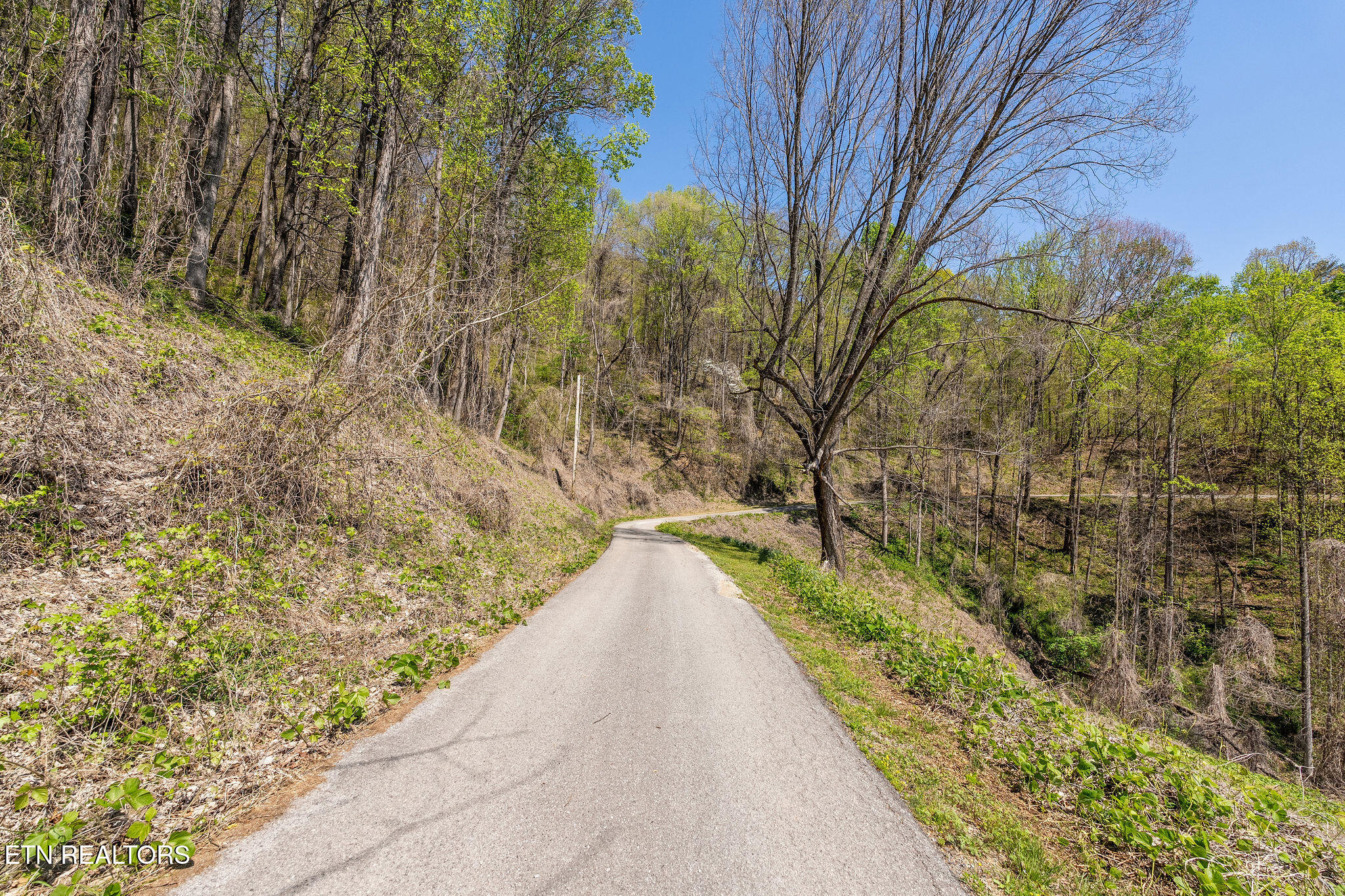342 Big Springs Lane Jacksboro TN 37757