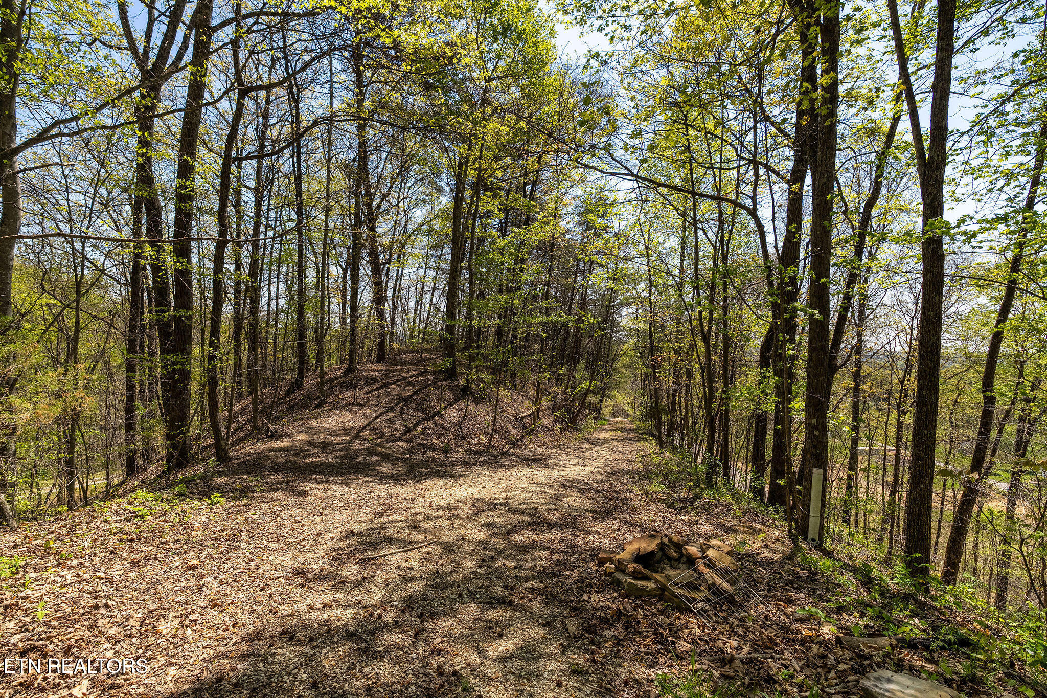 342 Big Springs Lane Jacksboro TN 37757