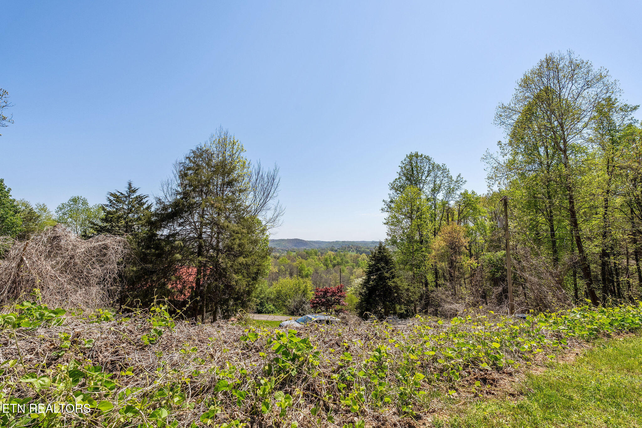 342 Big Springs Lane Jacksboro TN 37757