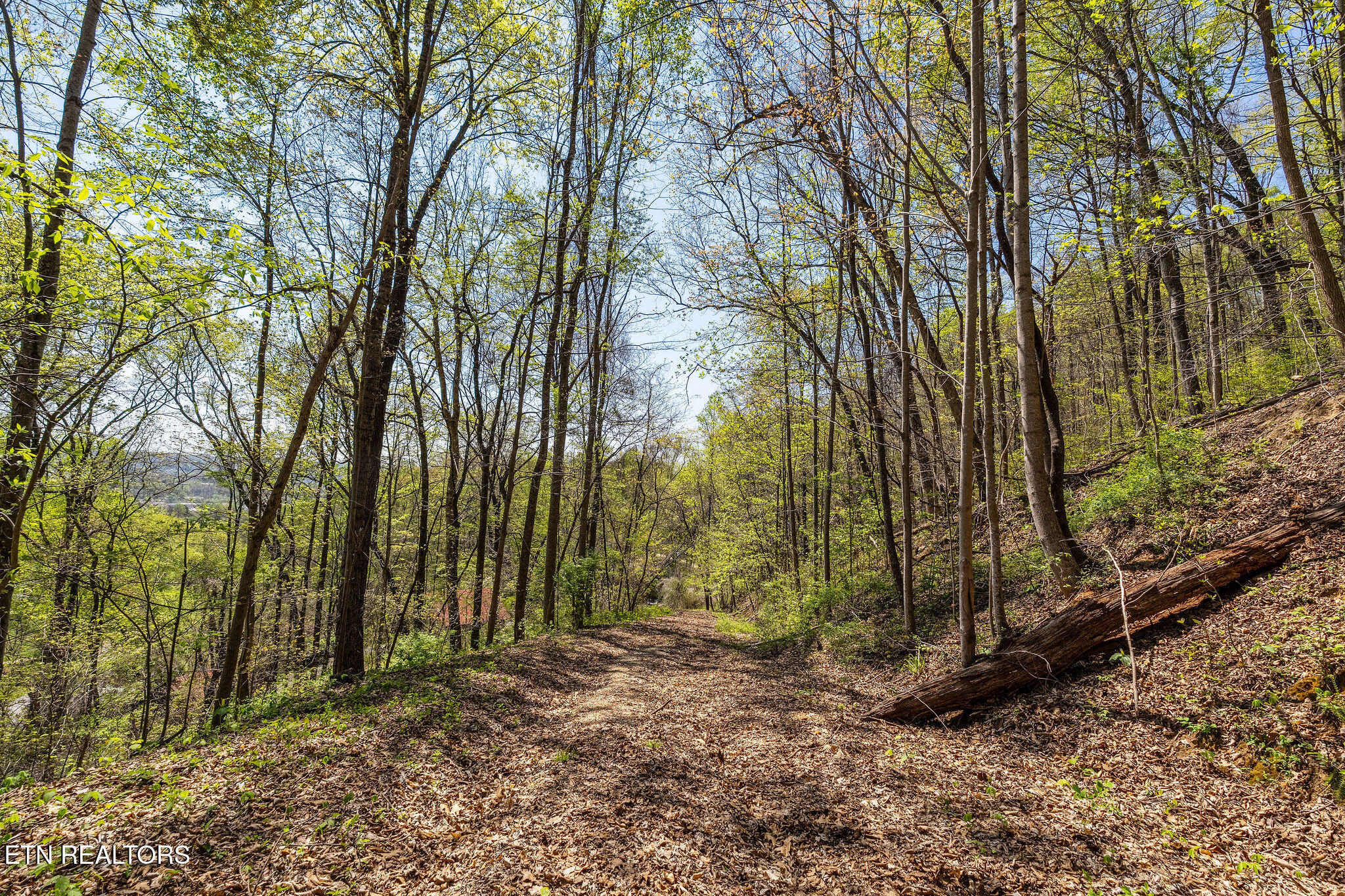 342 Big Springs Lane Jacksboro TN 37757