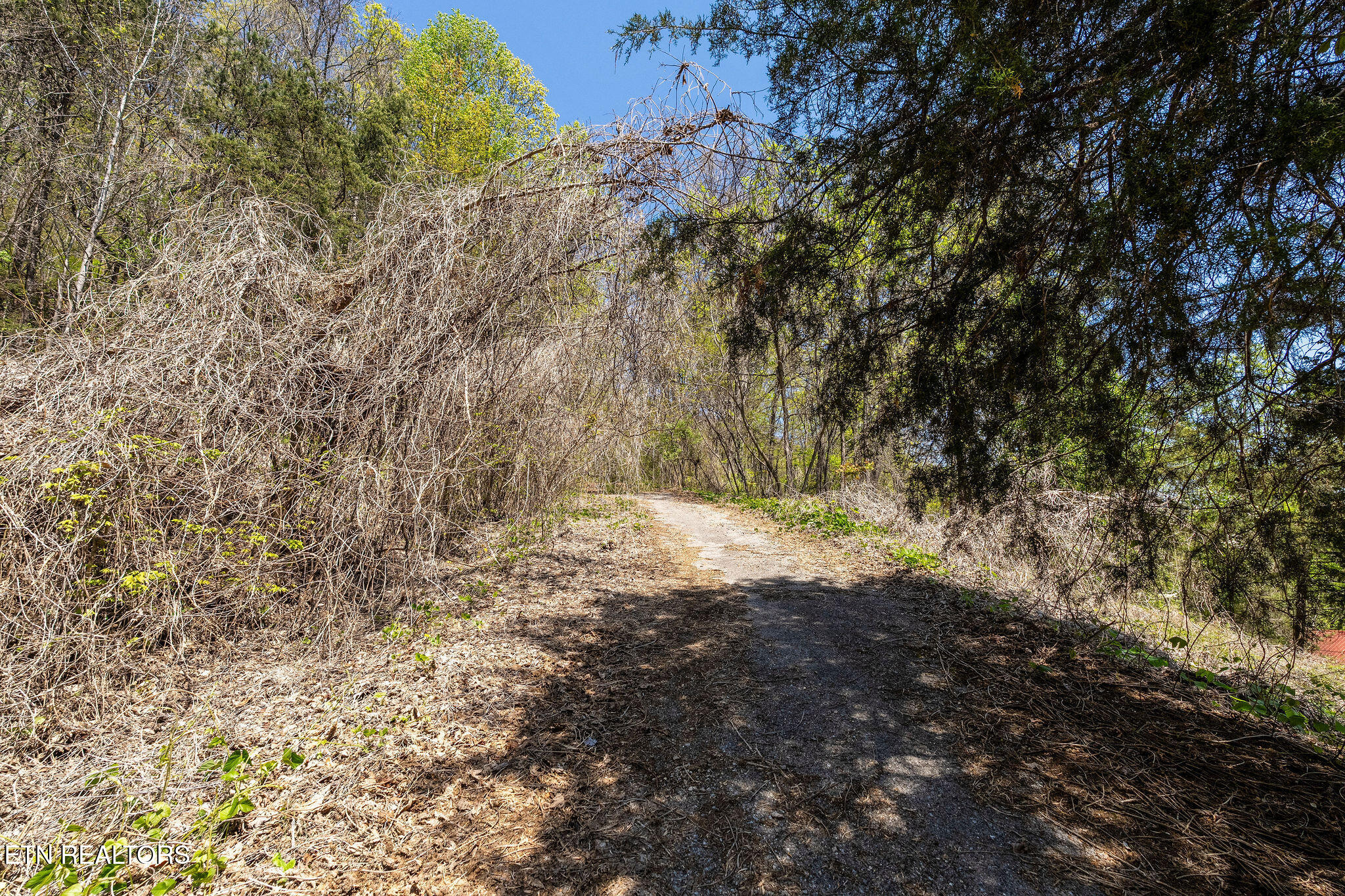 342 Big Springs Lane Jacksboro TN 37757