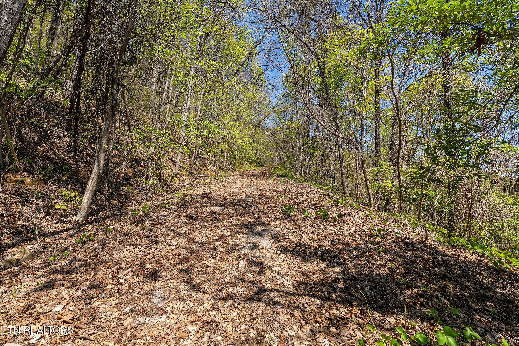 342 Big Springs Lane Jacksboro TN 37757