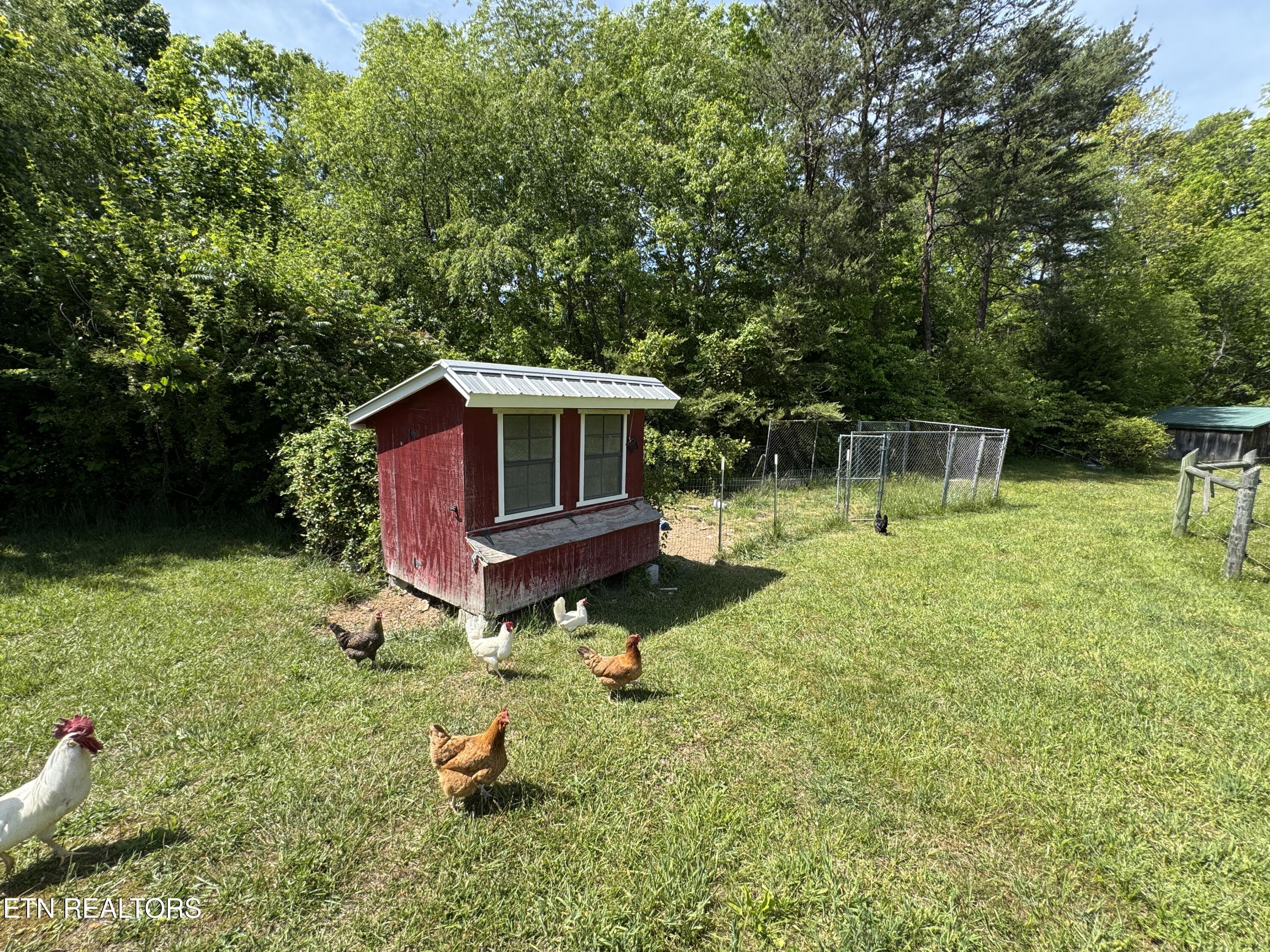 4455 Jonesville Road Clarkrange TN 38553
