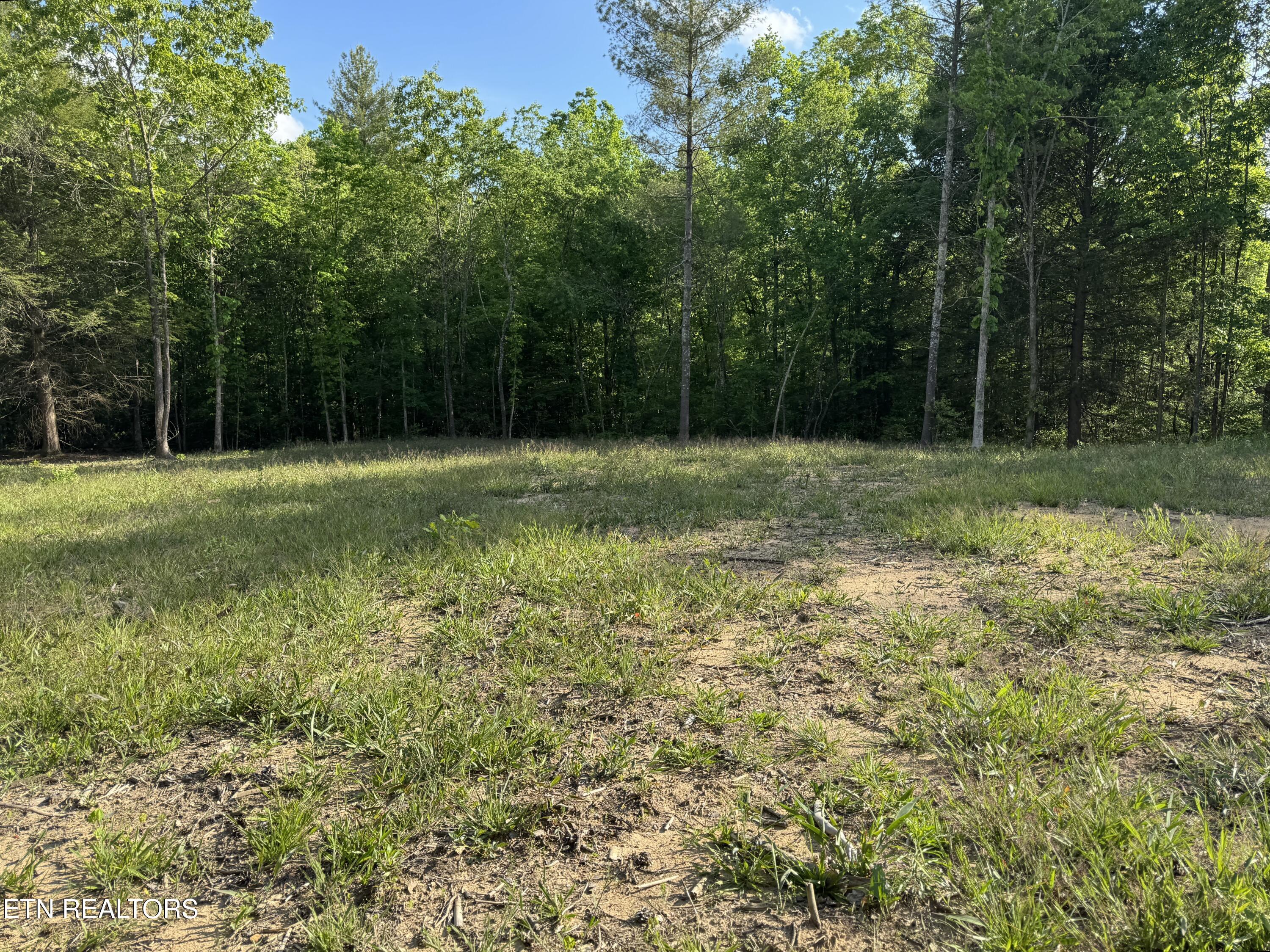 4455 Jonesville Road Clarkrange TN 38553